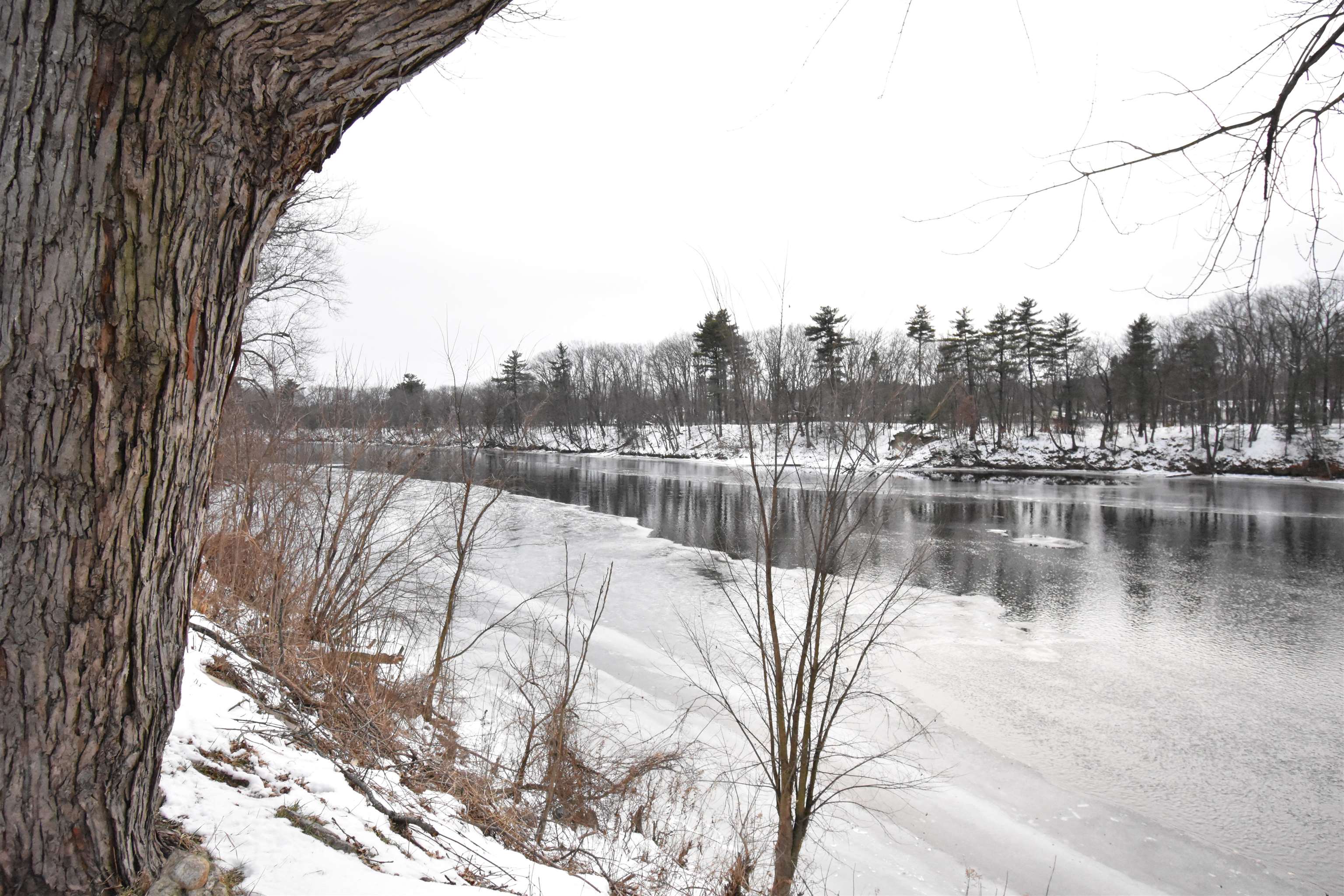 Homes for sale in Manchester, NH | 518 Riverdale Ave, Manchester, NH 03103 | MLS# 5072012