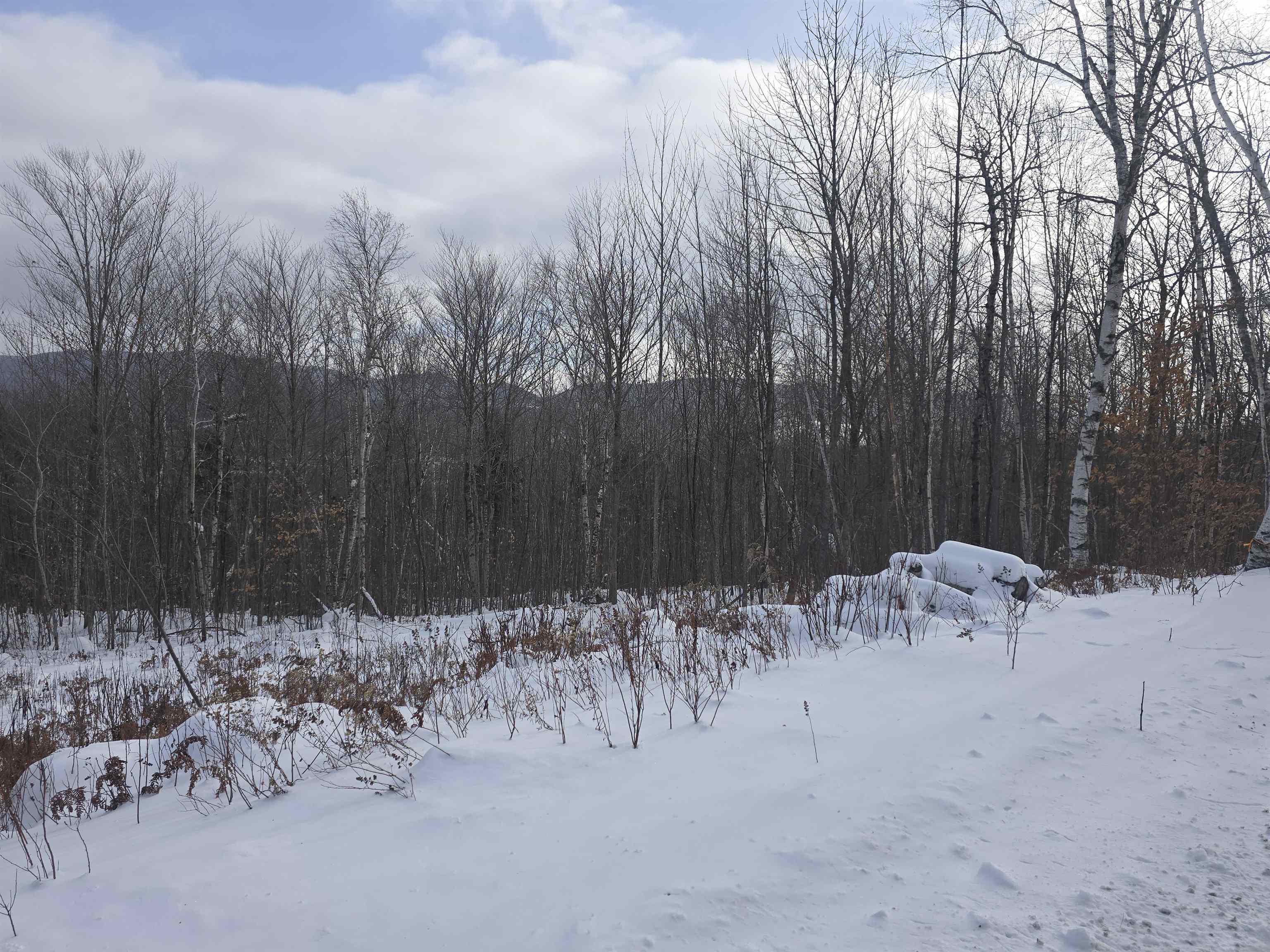 Homes for sale in Berlin, NH | Cates Hill Rd, Berlin, NH 03570 | MLS# 5072013