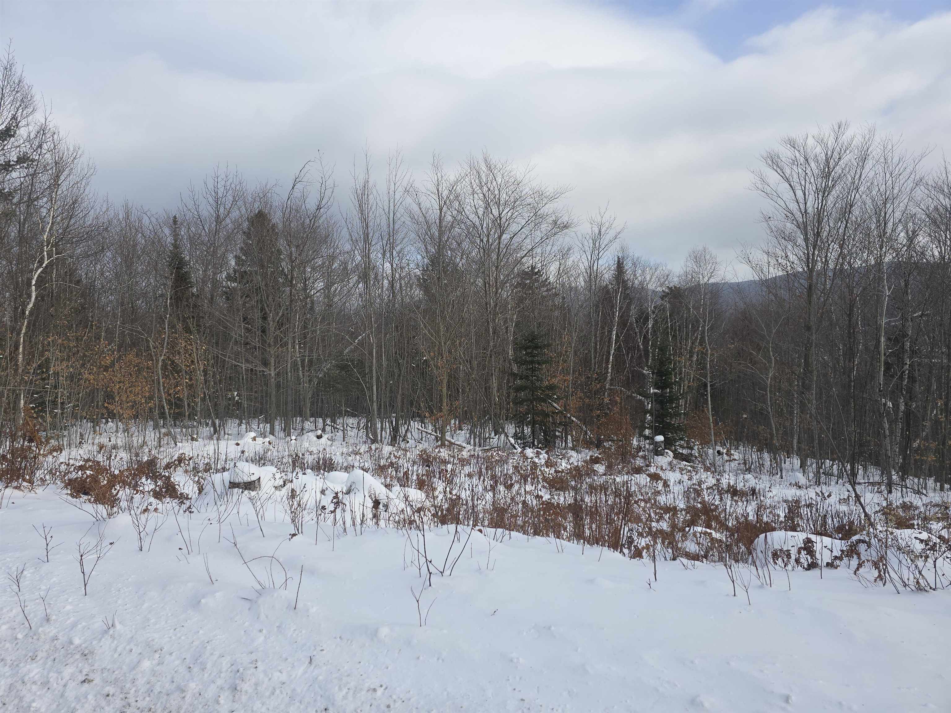 Homes for sale in Berlin, NH | Cates Hill Rd, Berlin, NH 03570 | MLS# 5072013