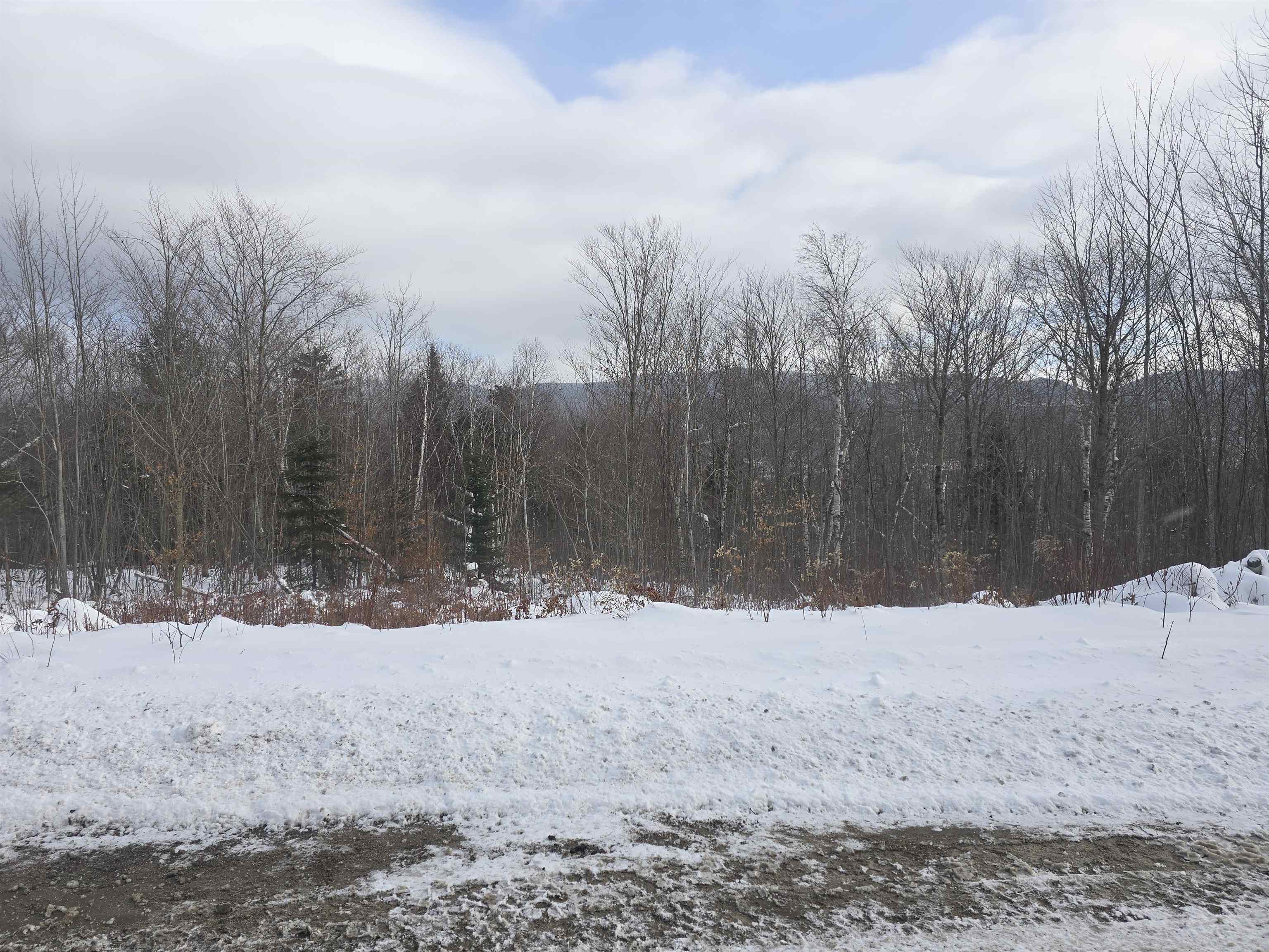 Homes for sale in Berlin, NH | Cates Hill Rd, Berlin, NH 03570 | MLS# 5072013