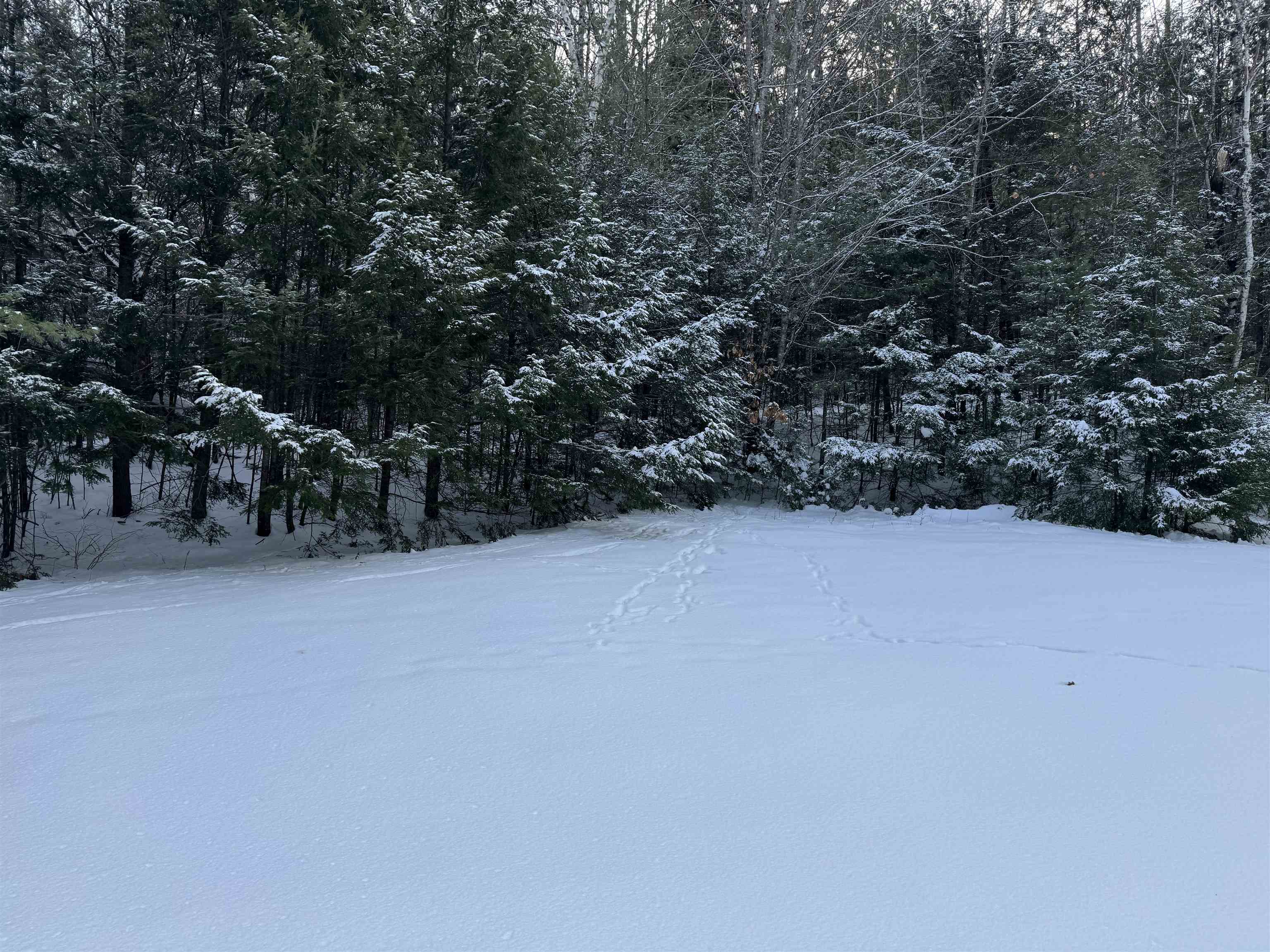 MLS #5072015 image #5