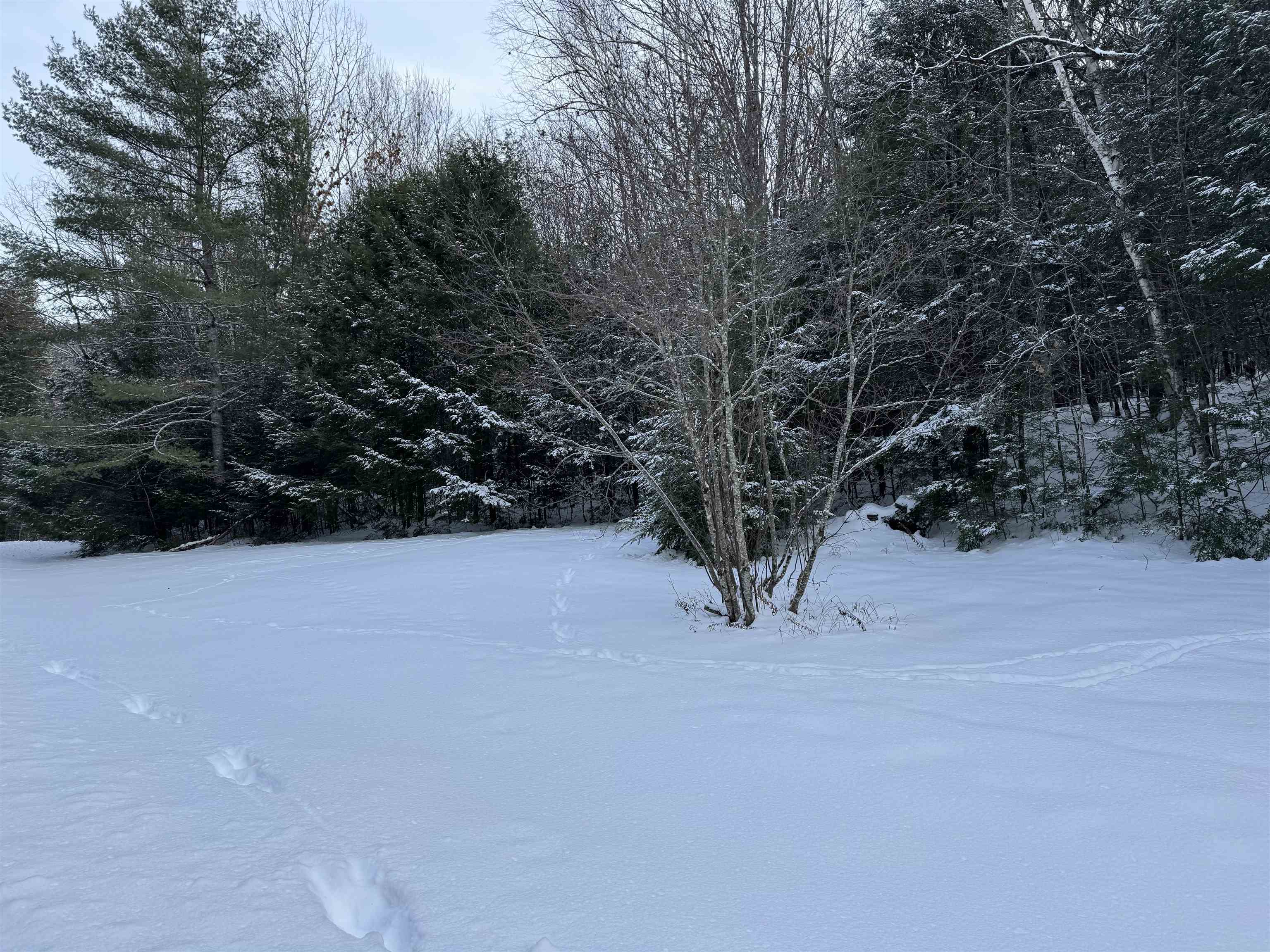 MLS #5072015 image #6