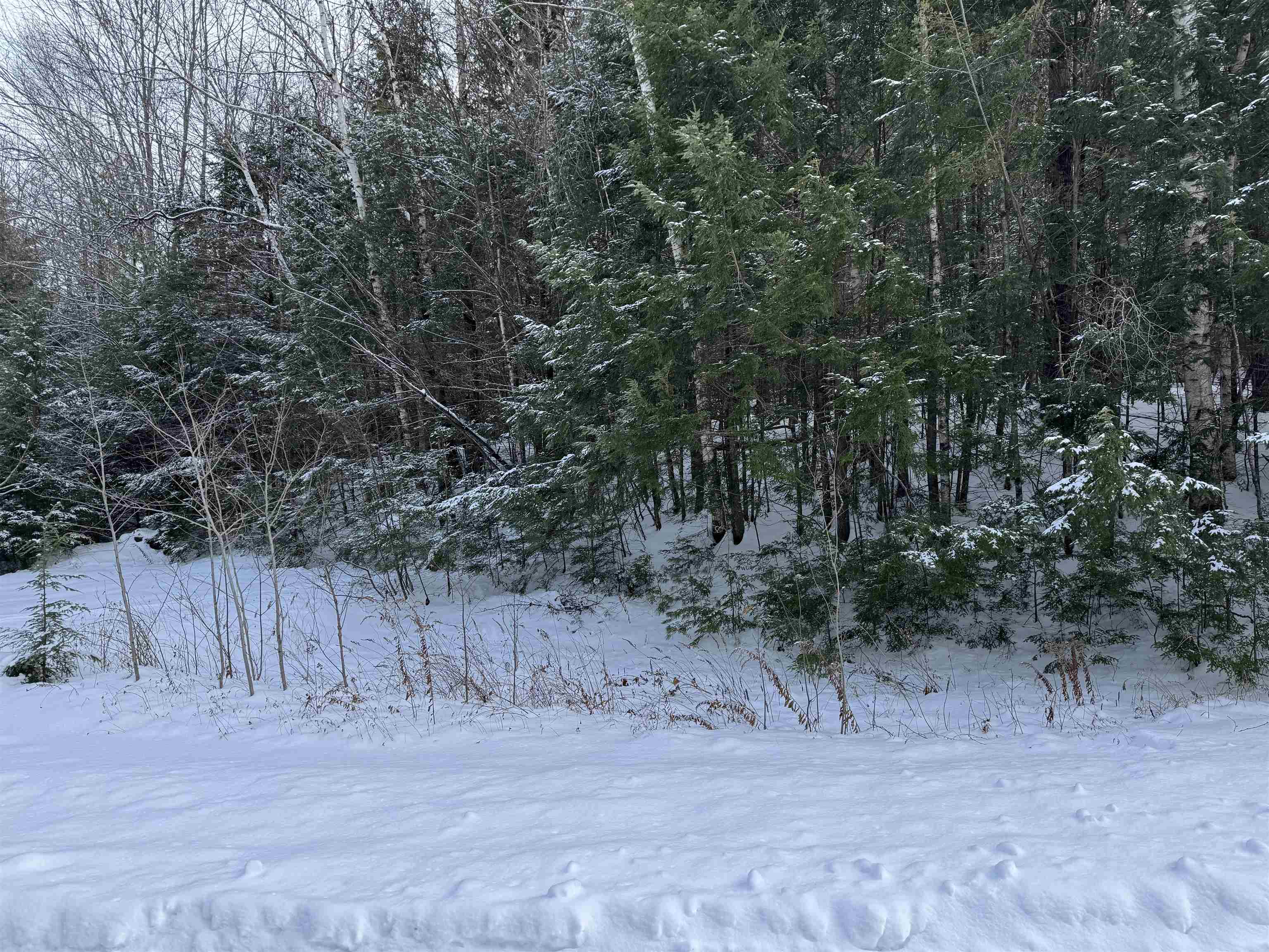 MLS #5072015 image #9