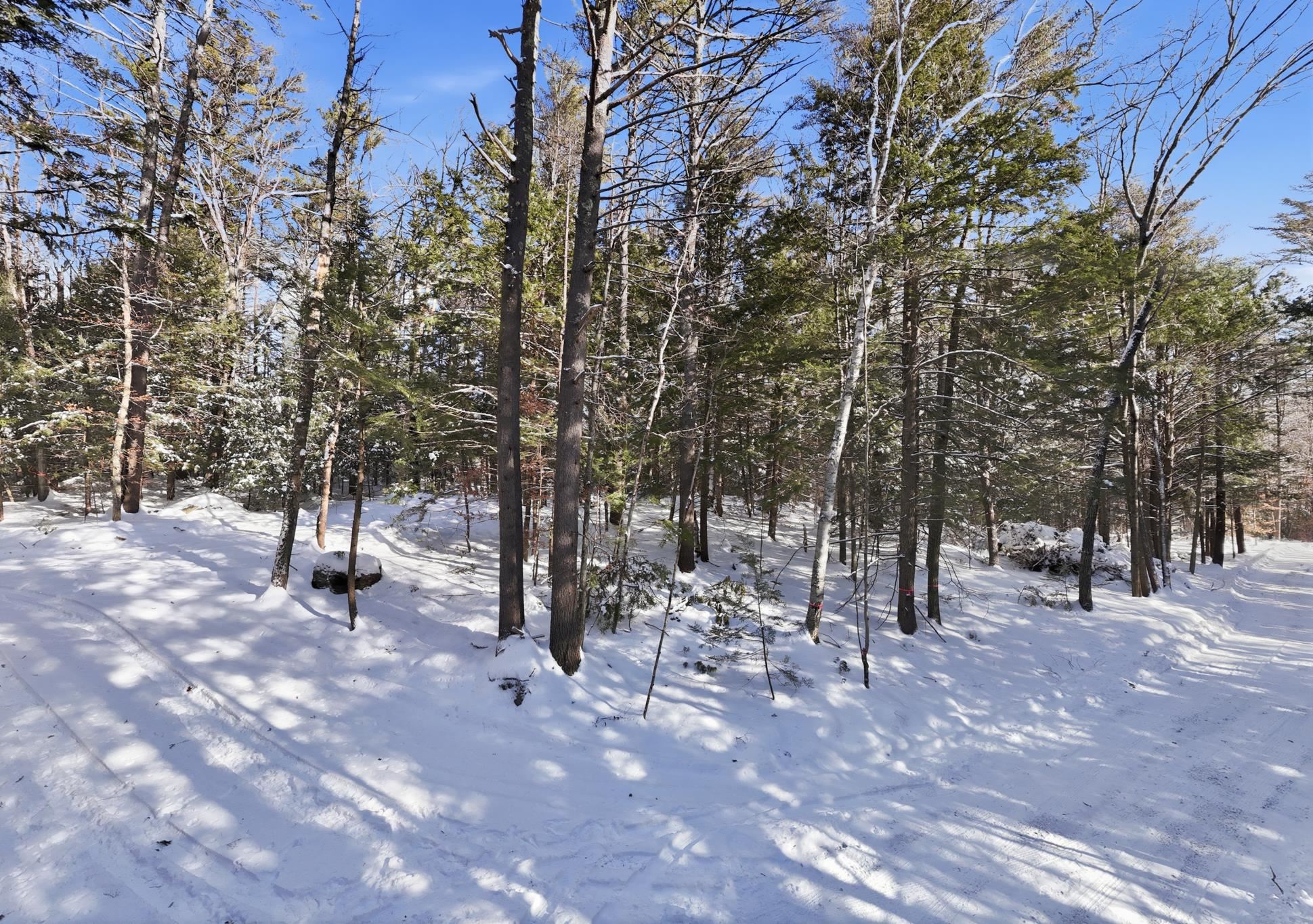 Homes for sale in New Hampton, NH | Smoke Rise Rd, New Hampton, NH 03256 | MLS# 5072056