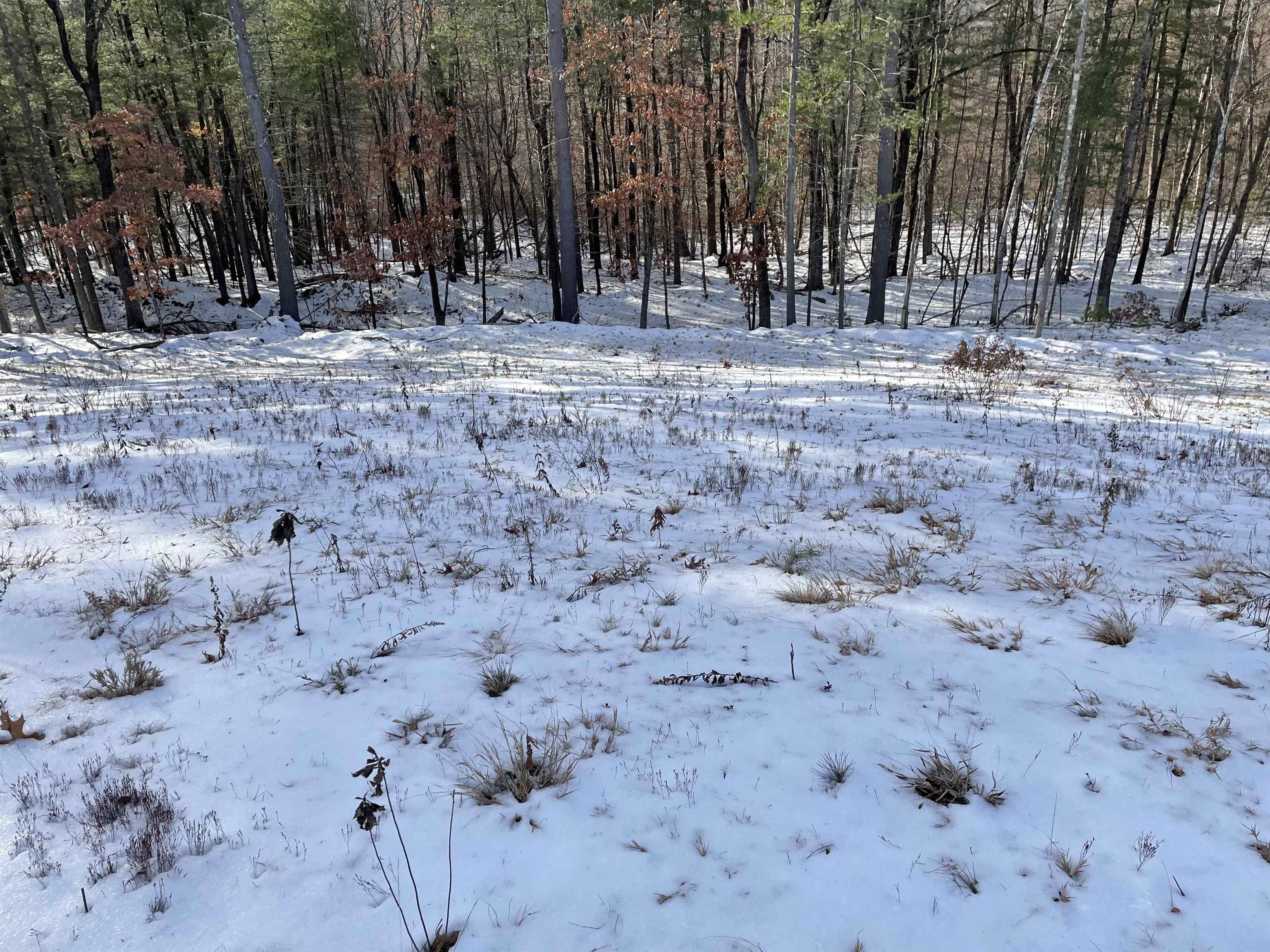 MLS #5072058 image #2