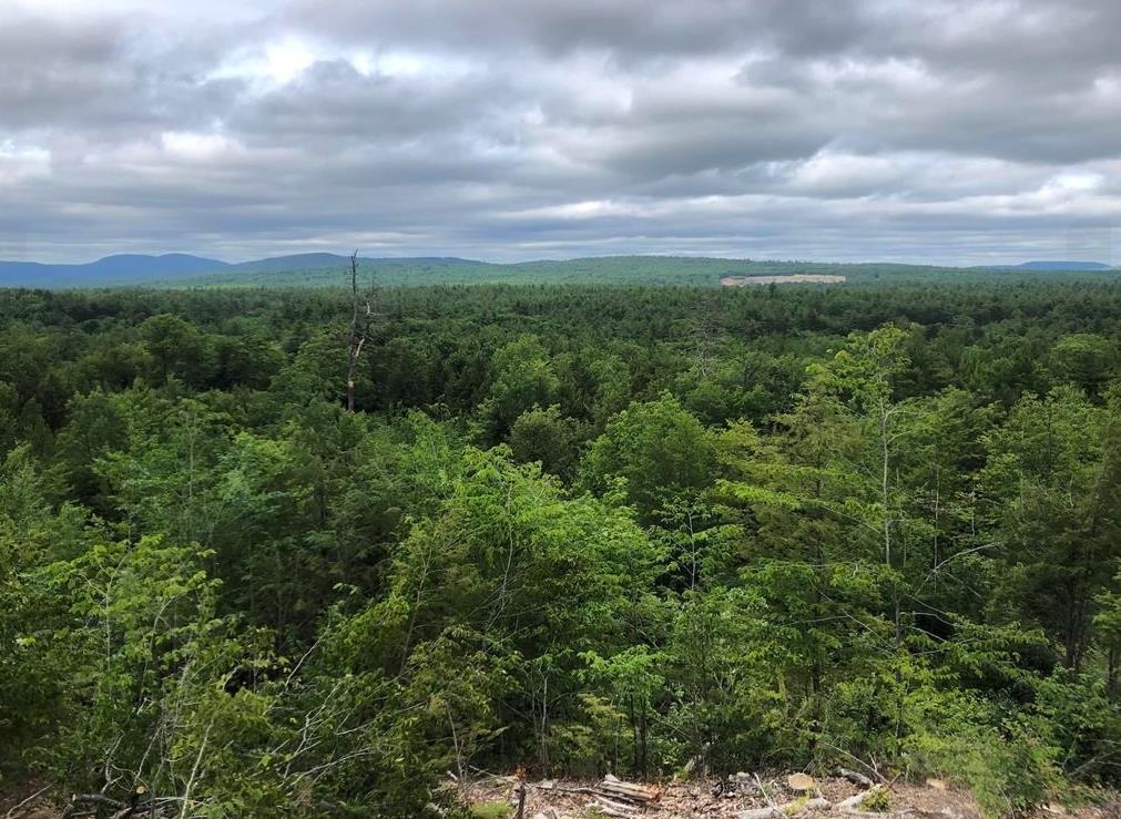 Homes for sale in Wolfeboro, NH | Village Corner Rd, Wolfeboro, NH 03894 | MLS# 5072122