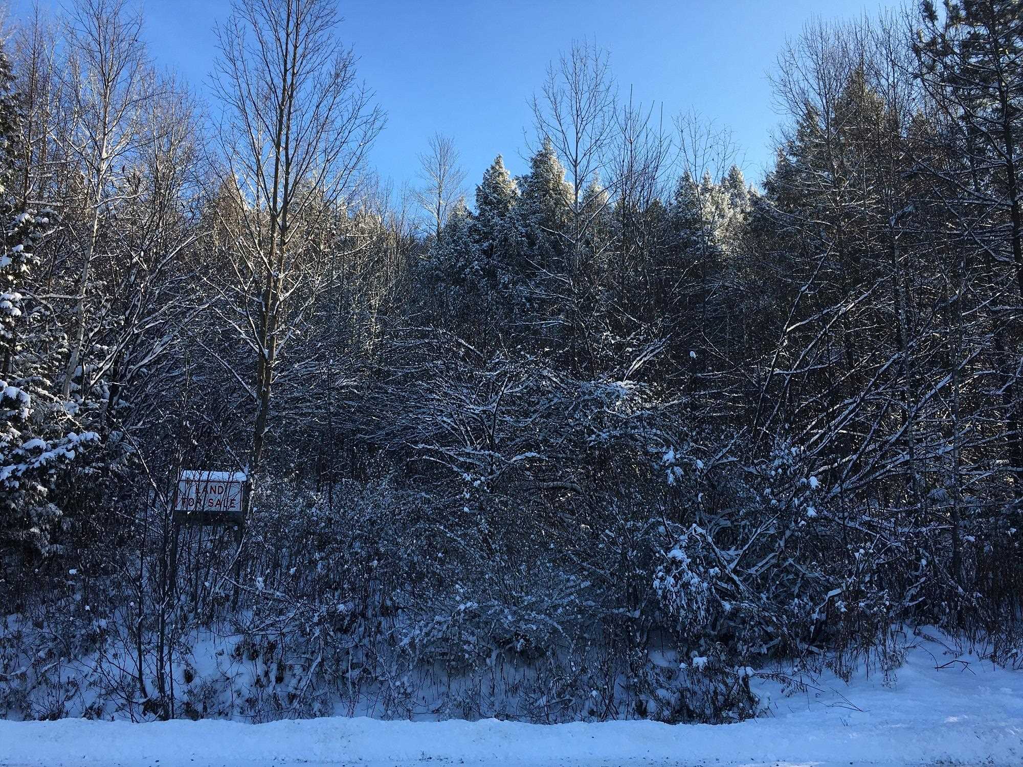 Homes for sale in Berlin, VT | 00 Paine Turnpike South, Berlin, VT 05602 | MLS# 5072151