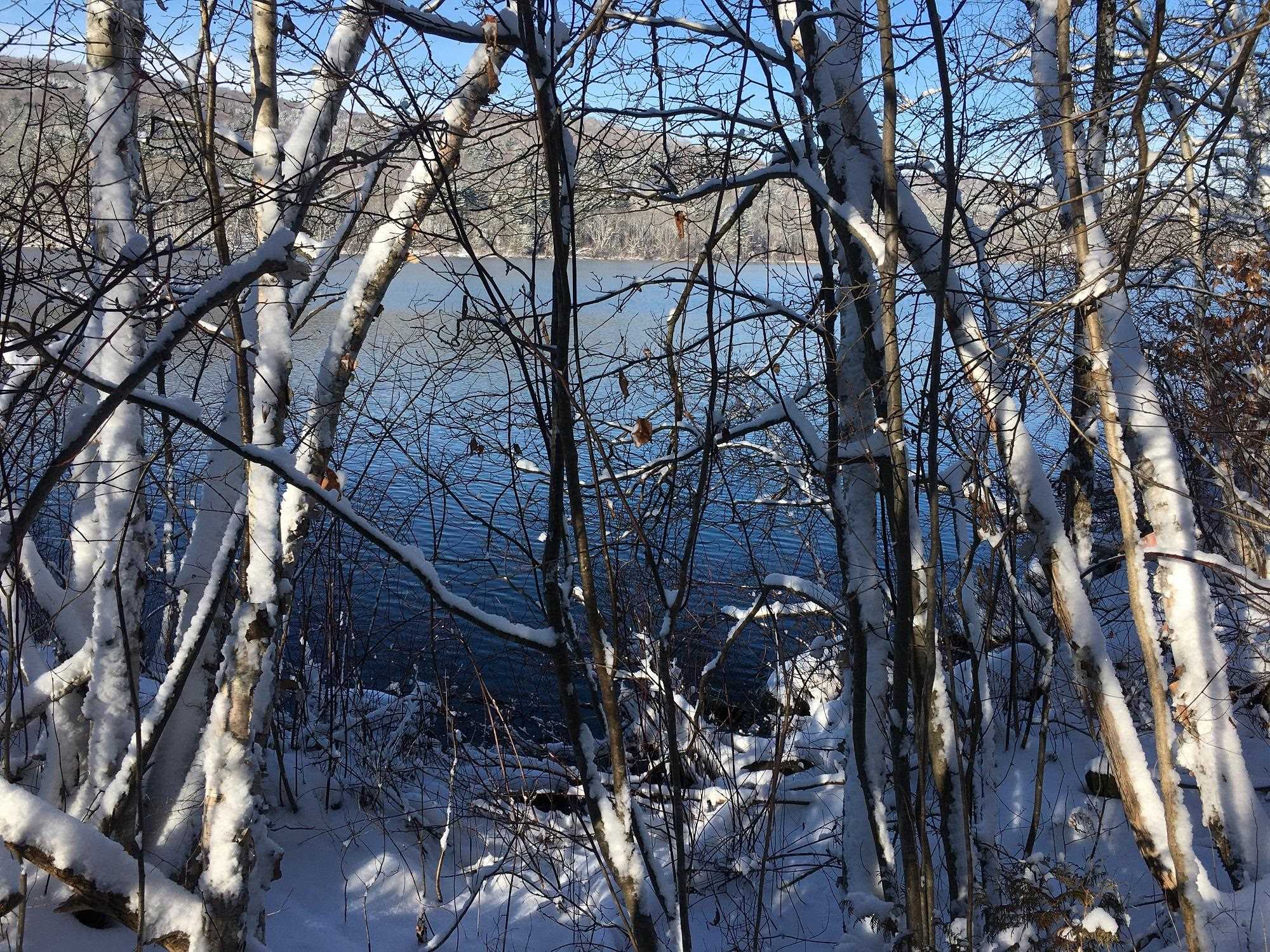 Homes for sale in Berlin, VT | 00 Paine Turnpike South, Berlin, VT 05602 | MLS# 5072151