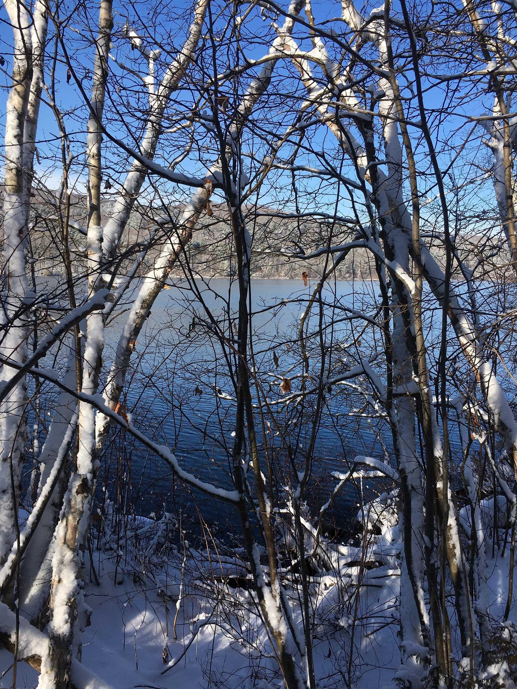 Homes for sale in Berlin, VT | 00 Paine Turnpike South, Berlin, VT 05602 | MLS# 5072151