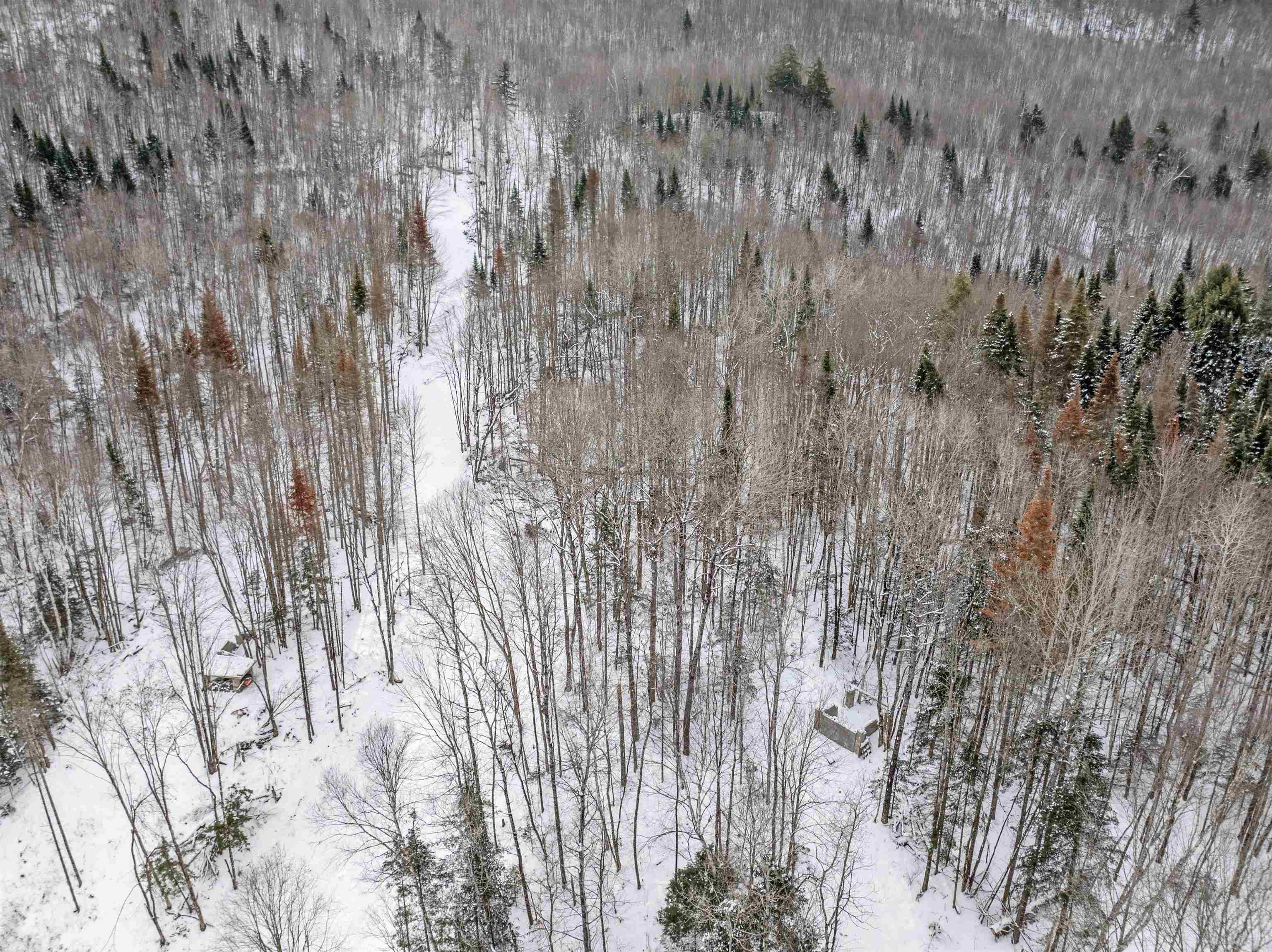 Homes for sale in Columbia, NH | 24 Marsh Rd, Columbia, NH 03576 | MLS# 5072230