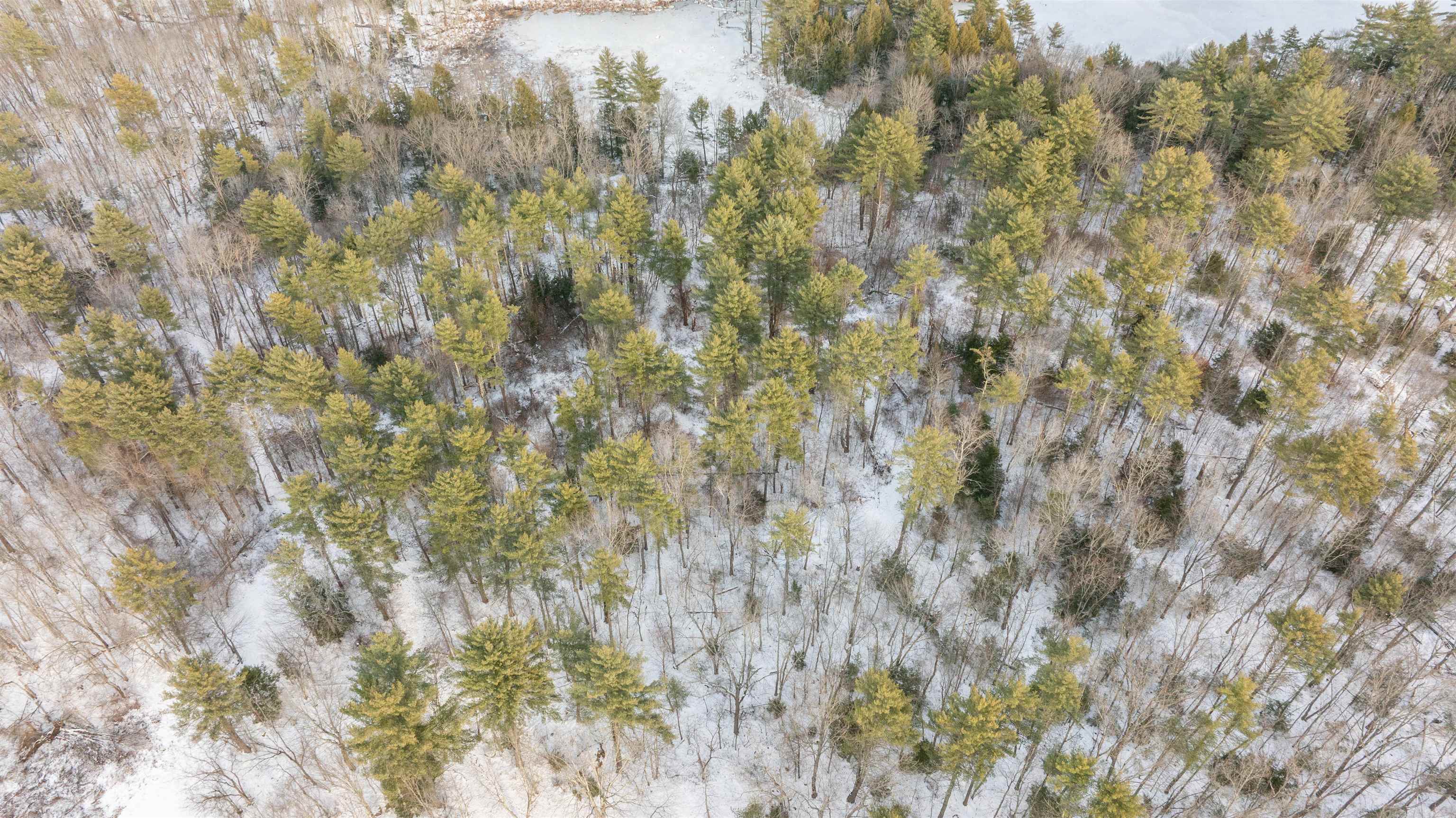 Homes for sale in Auburn, NH | Lot 56 4 Lovers Ln, Auburn, NH 03032 | MLS# 5072267