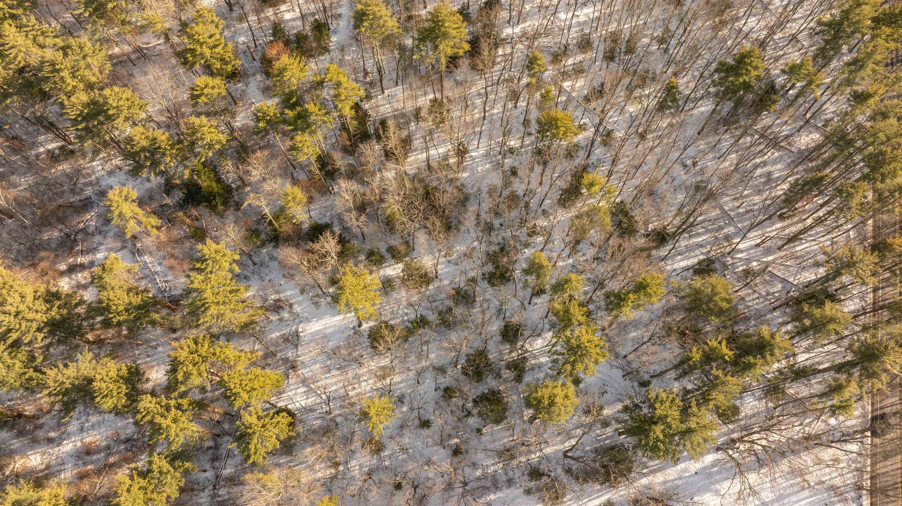 Homes for sale in Auburn, NH | Lot 56 4 Lovers Ln, Auburn, NH 03032 | MLS# 5072267