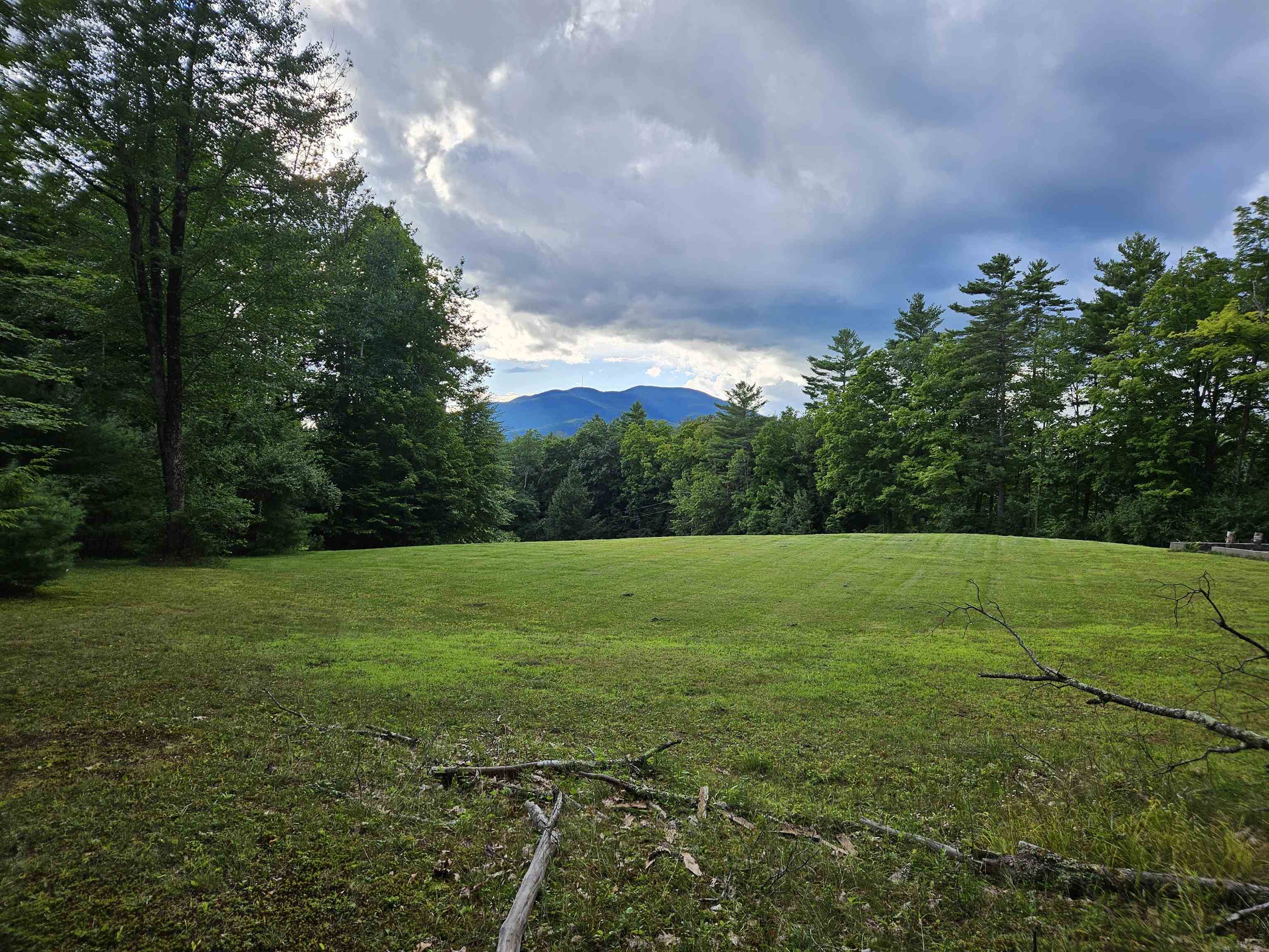 Homes for sale in Claremont, NH | 00 Hewitt Rd, Claremont, NH 03743 | MLS# 5072277