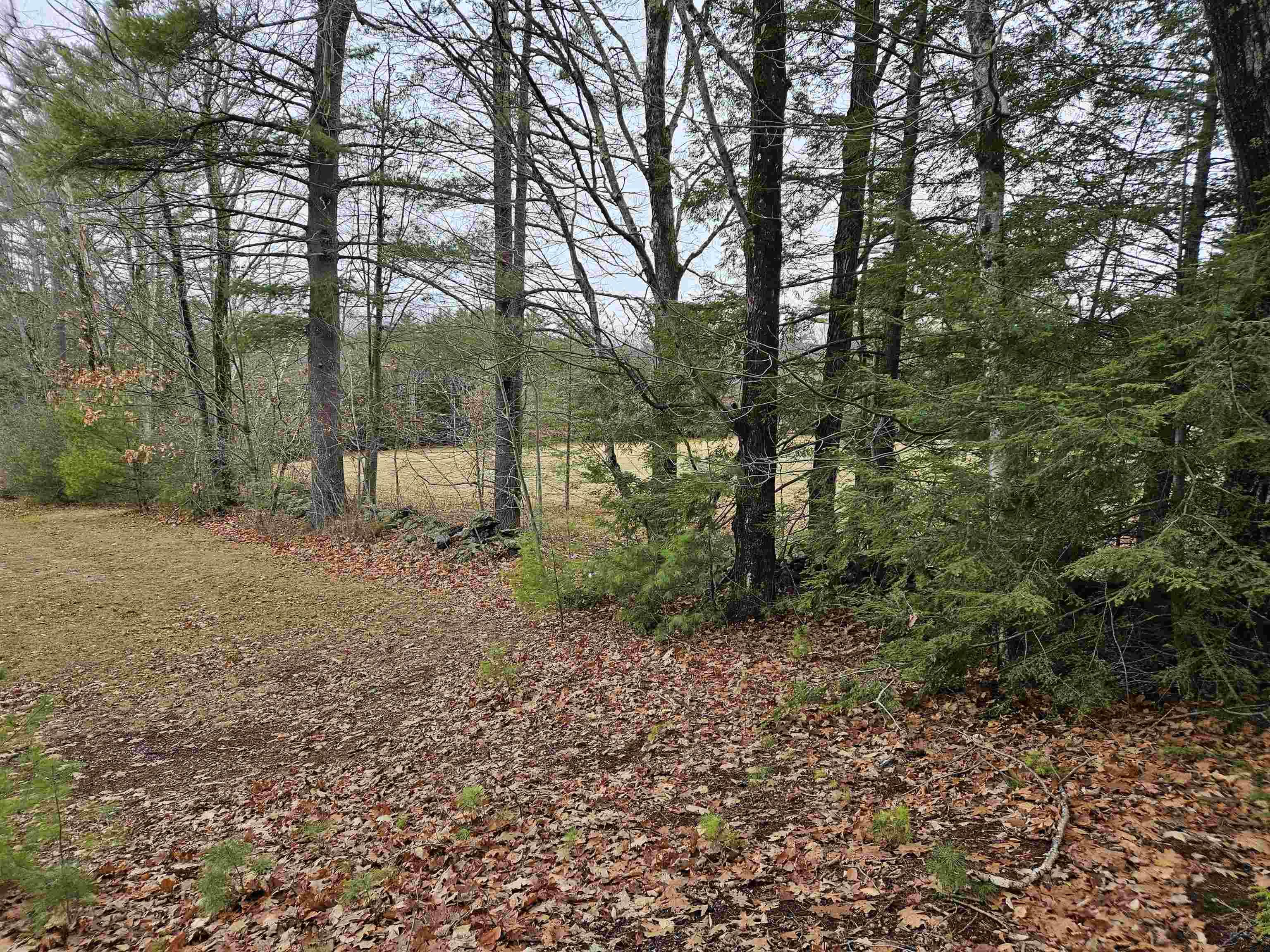 MLS #5072277 image #13