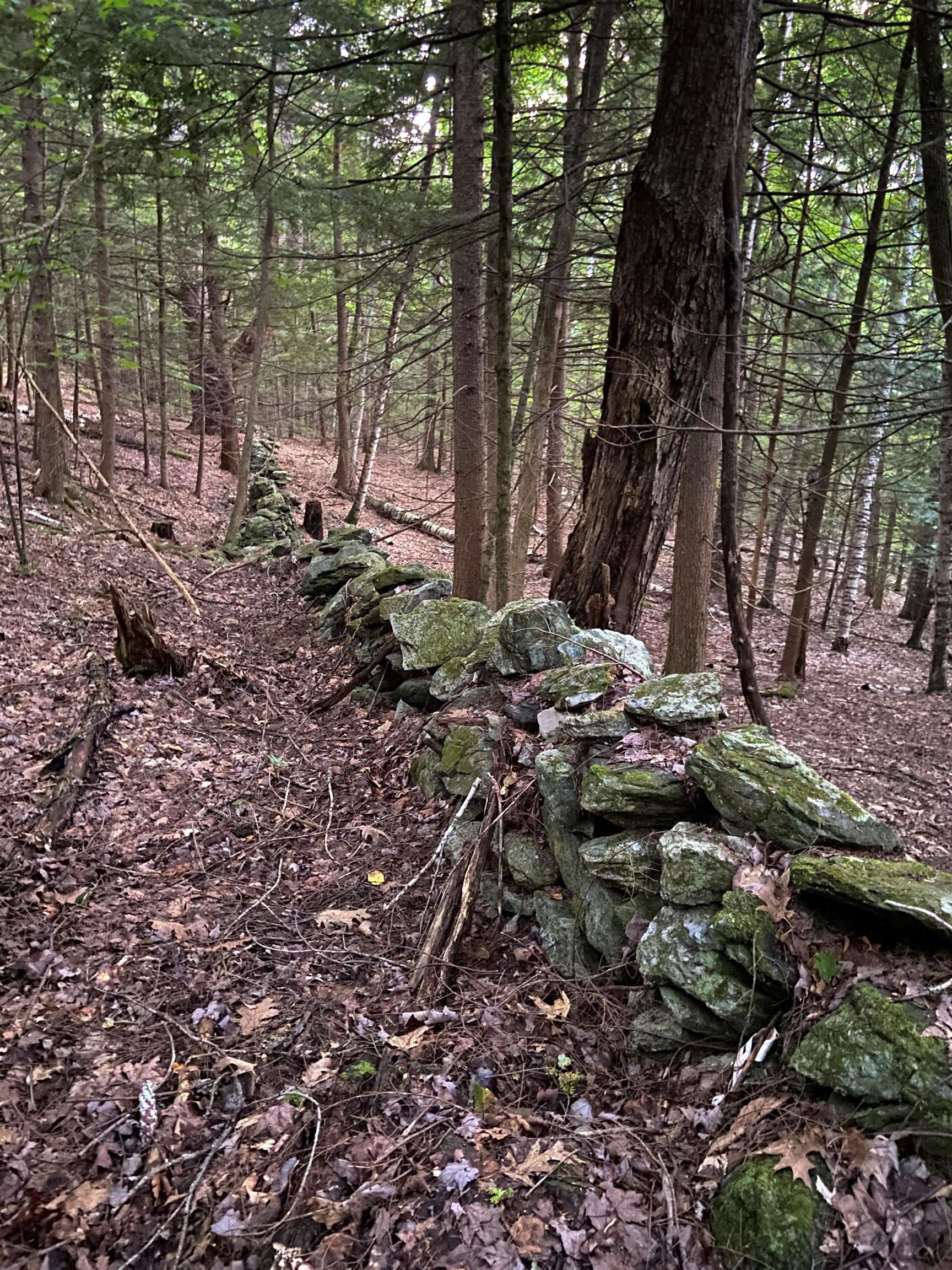 MLS #5072277 image #19