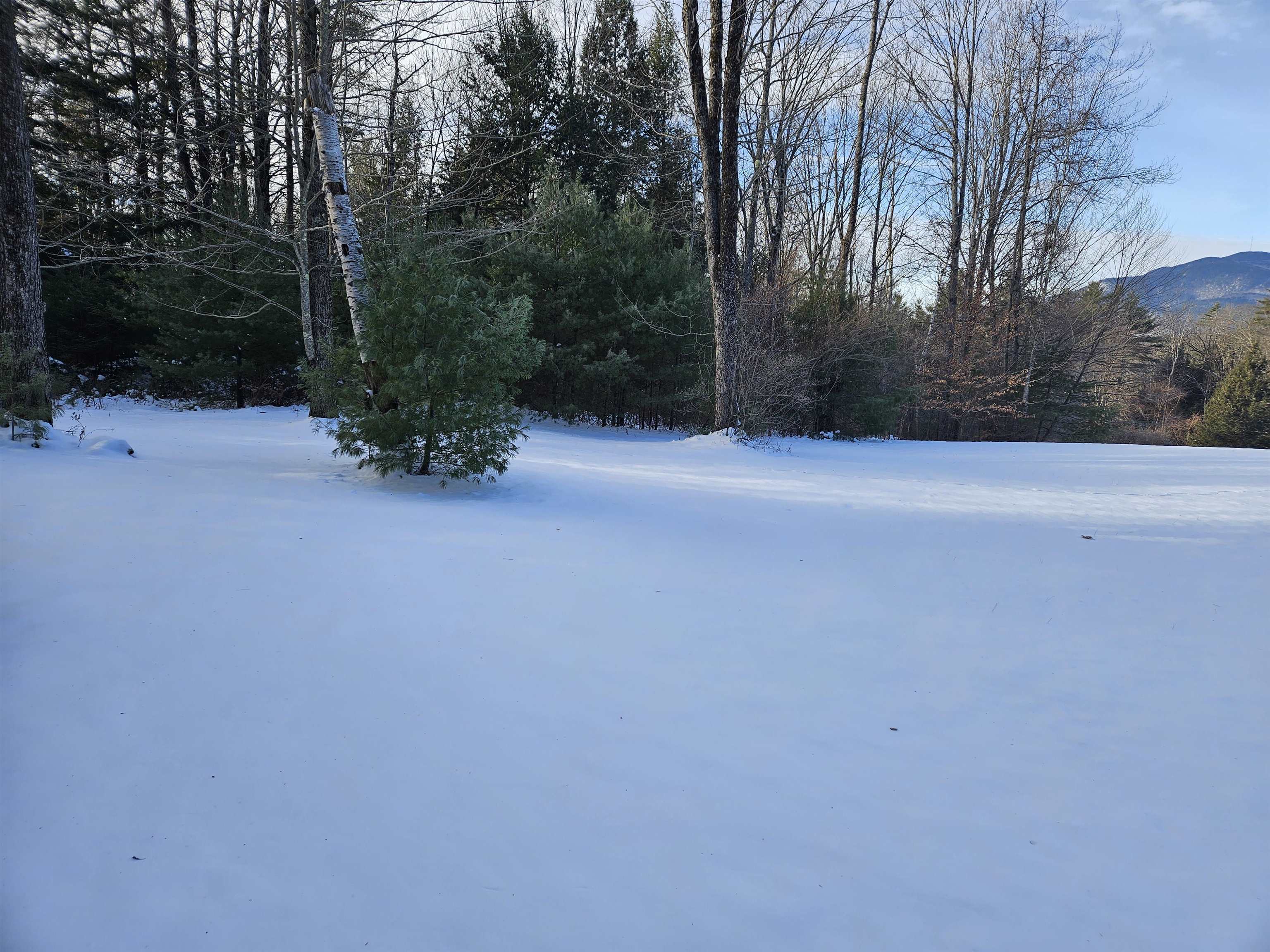 MLS #5072277 image #28