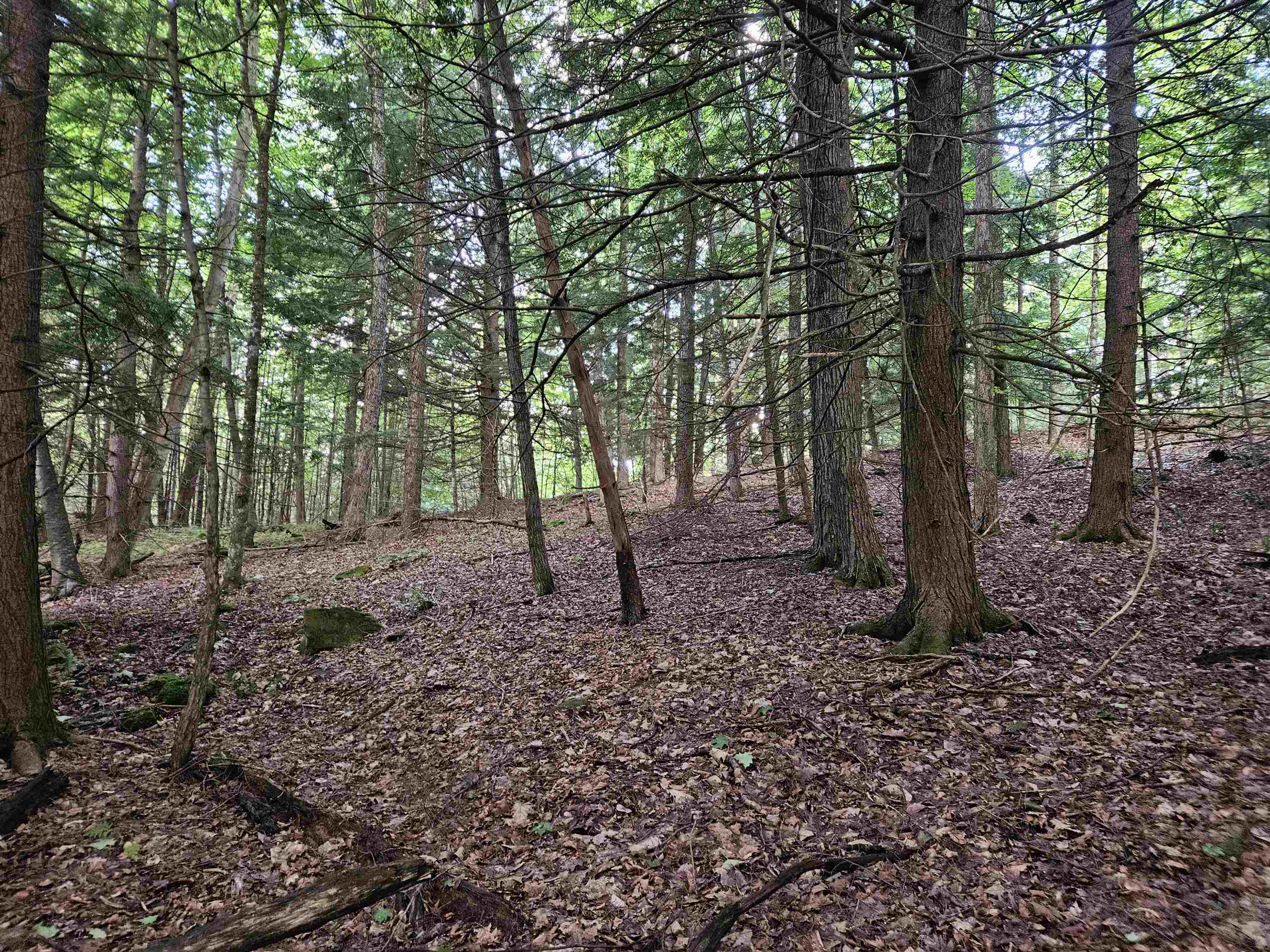 Homes for sale in Claremont, NH | 00 Hewitt Rd, Claremont, NH 03743 | MLS# 5072277