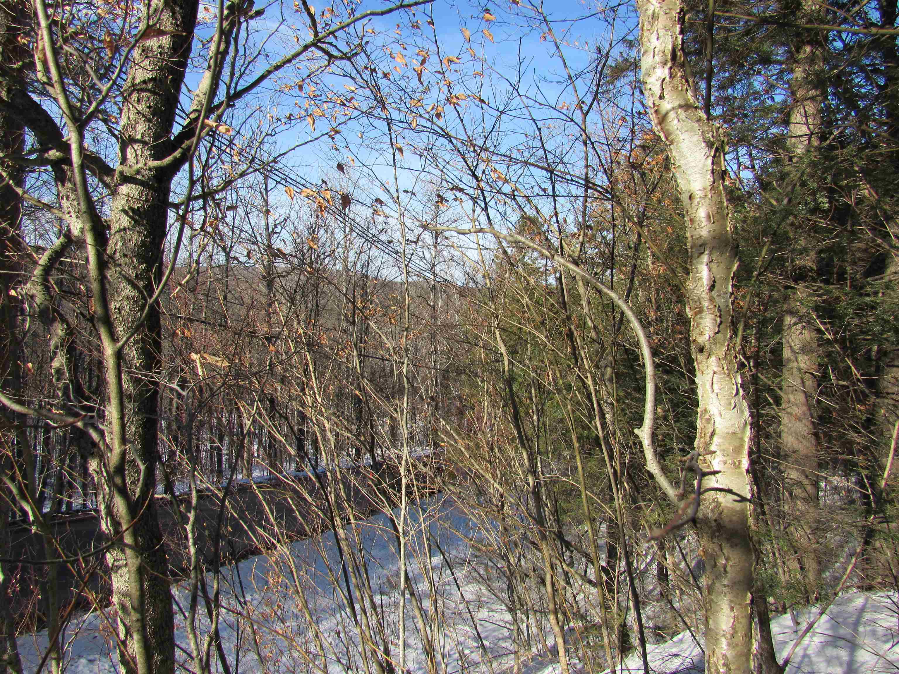 Homes for sale in Winhall, VT | 0 Lower Taylor Hill Rd, Winhall, VT 05340 | MLS# 5072280