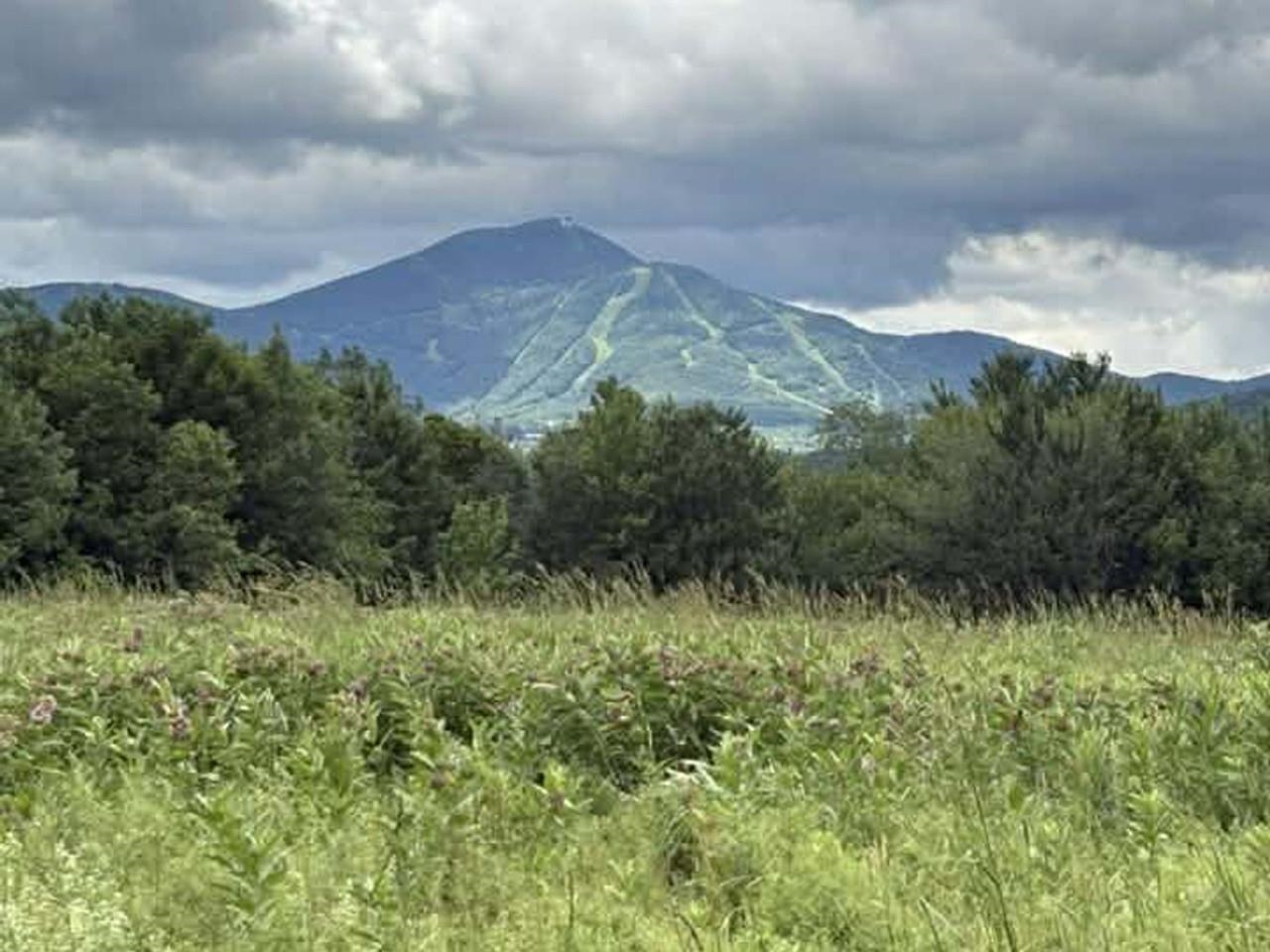 Homes for sale in Jay, VT | 00 River Bend Dr, Jay, VT 05859 | MLS# 5072300