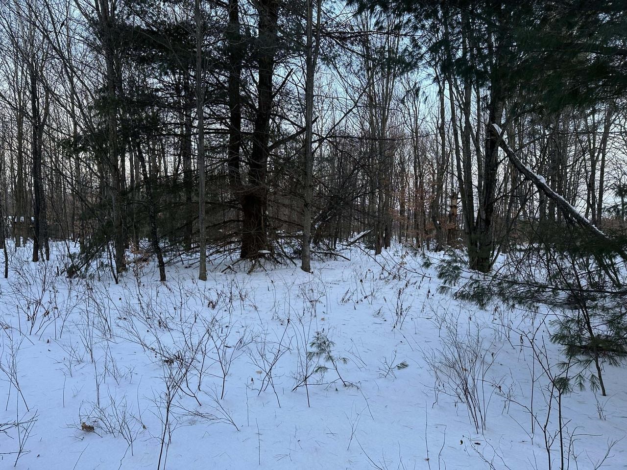 Homes for sale in Jay, VT | 0 Belle Vista Rd, Jay, VT 05859 | MLS# 5072305