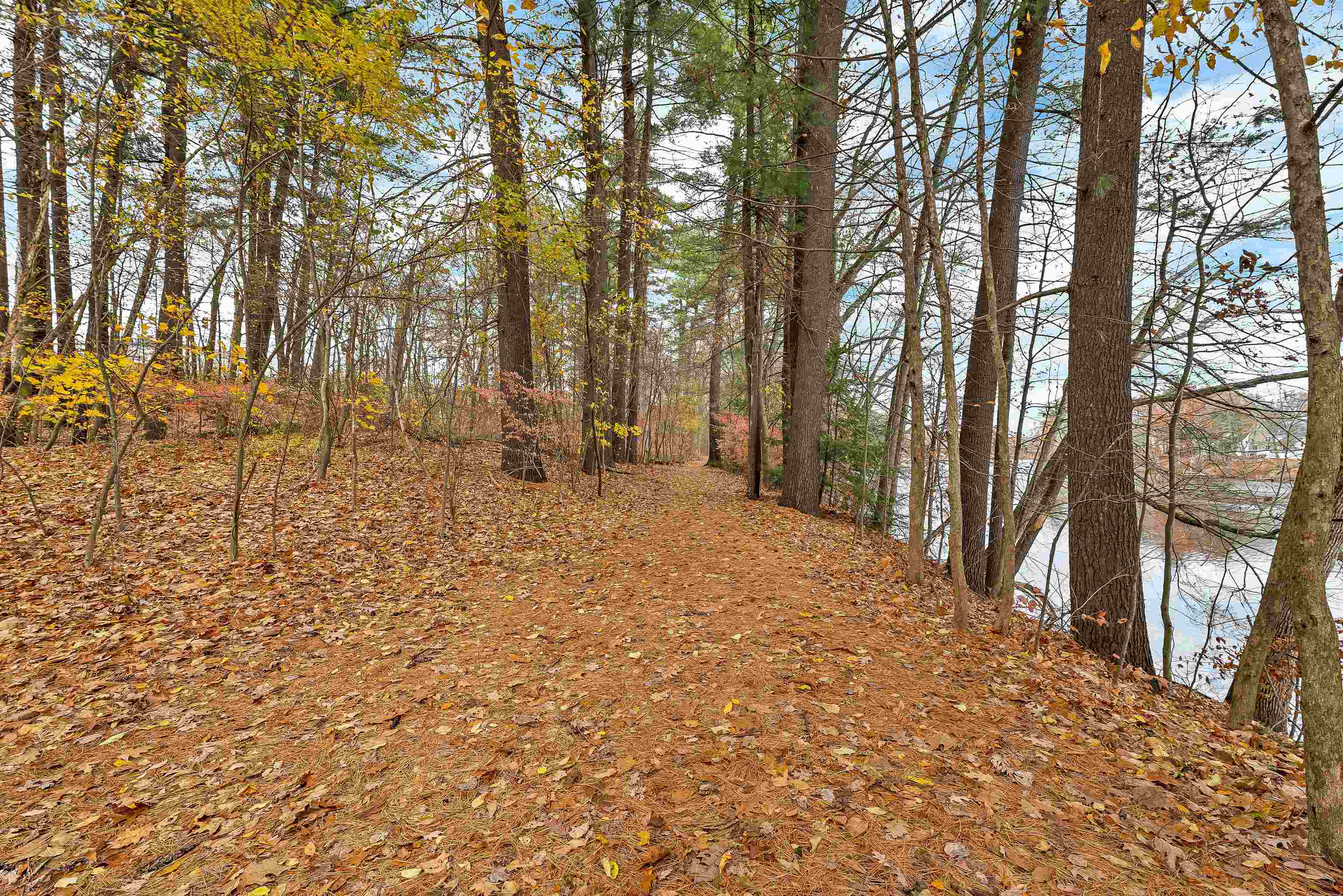 MLS #5072330 image #26