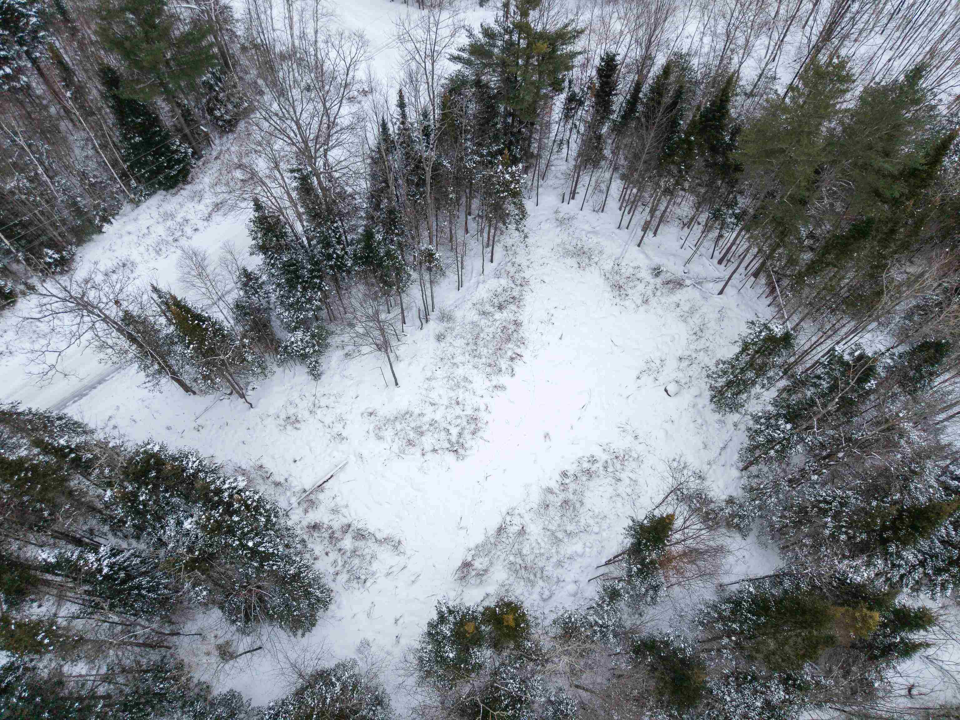 Homes for sale in Littleton, NH | 40 Bear Paw Trl, Littleton, NH 03561 | MLS# 5072369