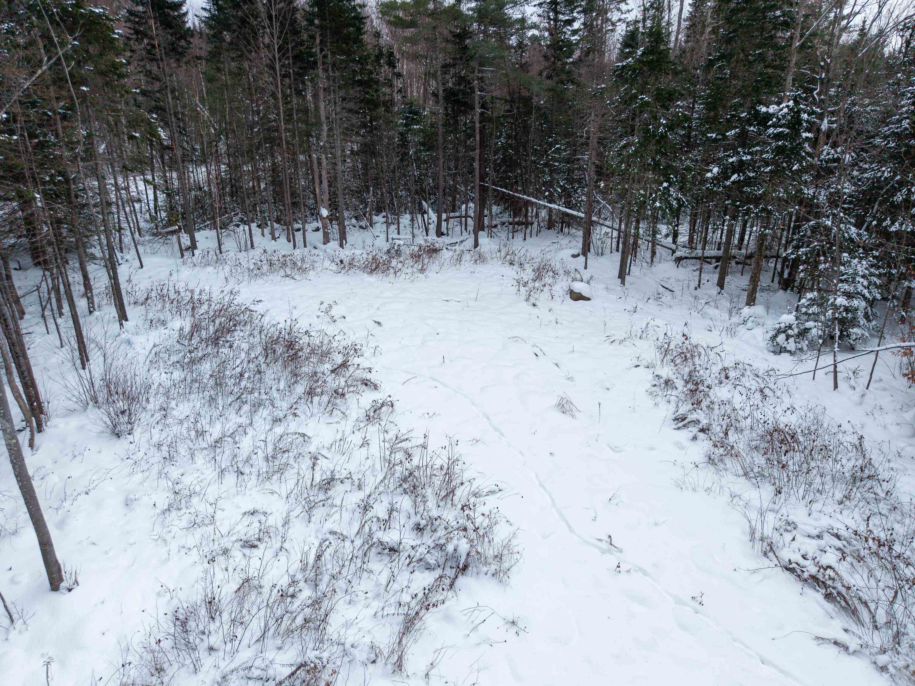 Homes for sale in Littleton, NH | 40 Bear Paw Trl, Littleton, NH 03561 | MLS# 5072369