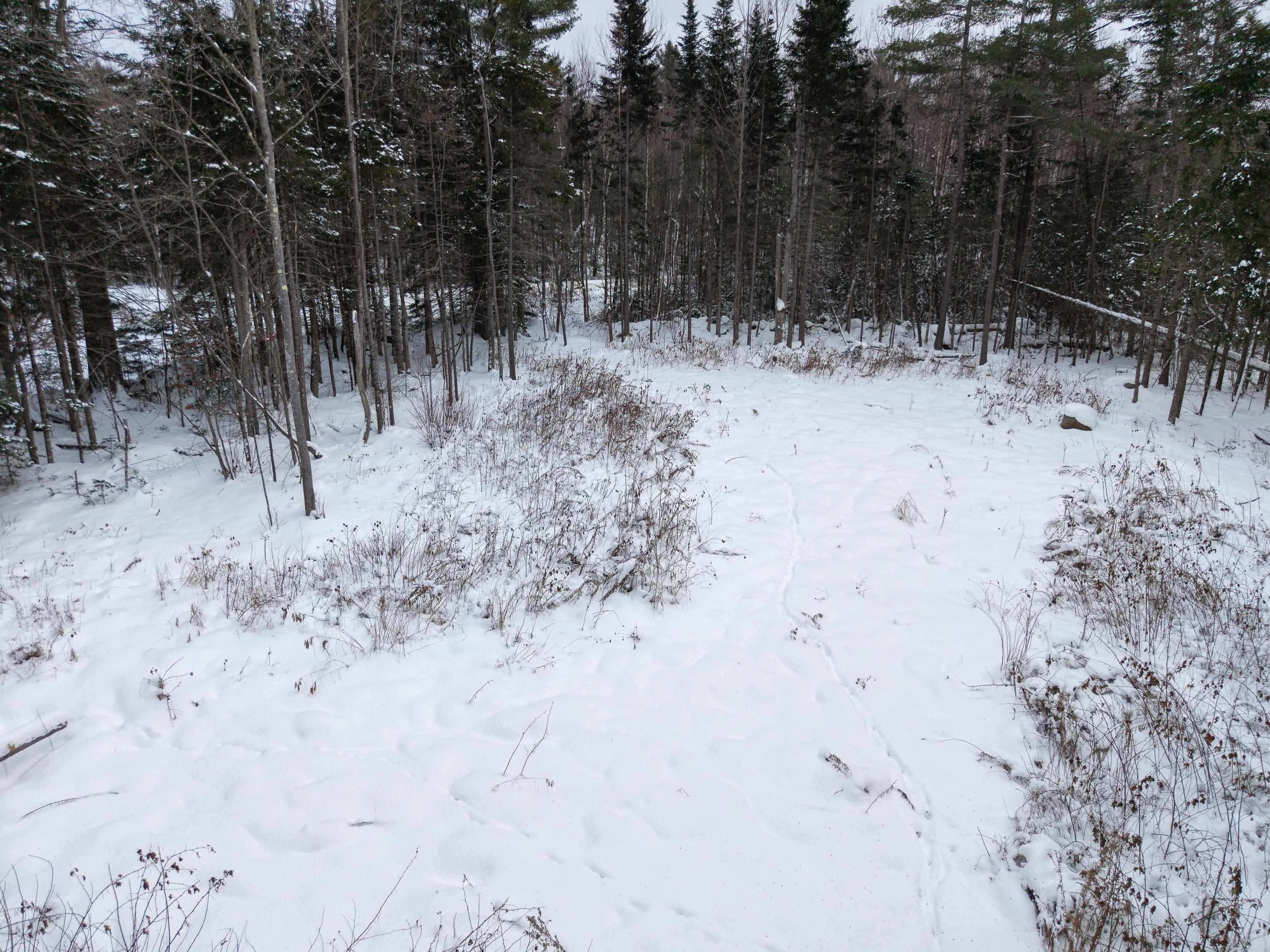 Homes for sale in Littleton, NH | 40 Bear Paw Trl, Littleton, NH 03561 | MLS# 5072369