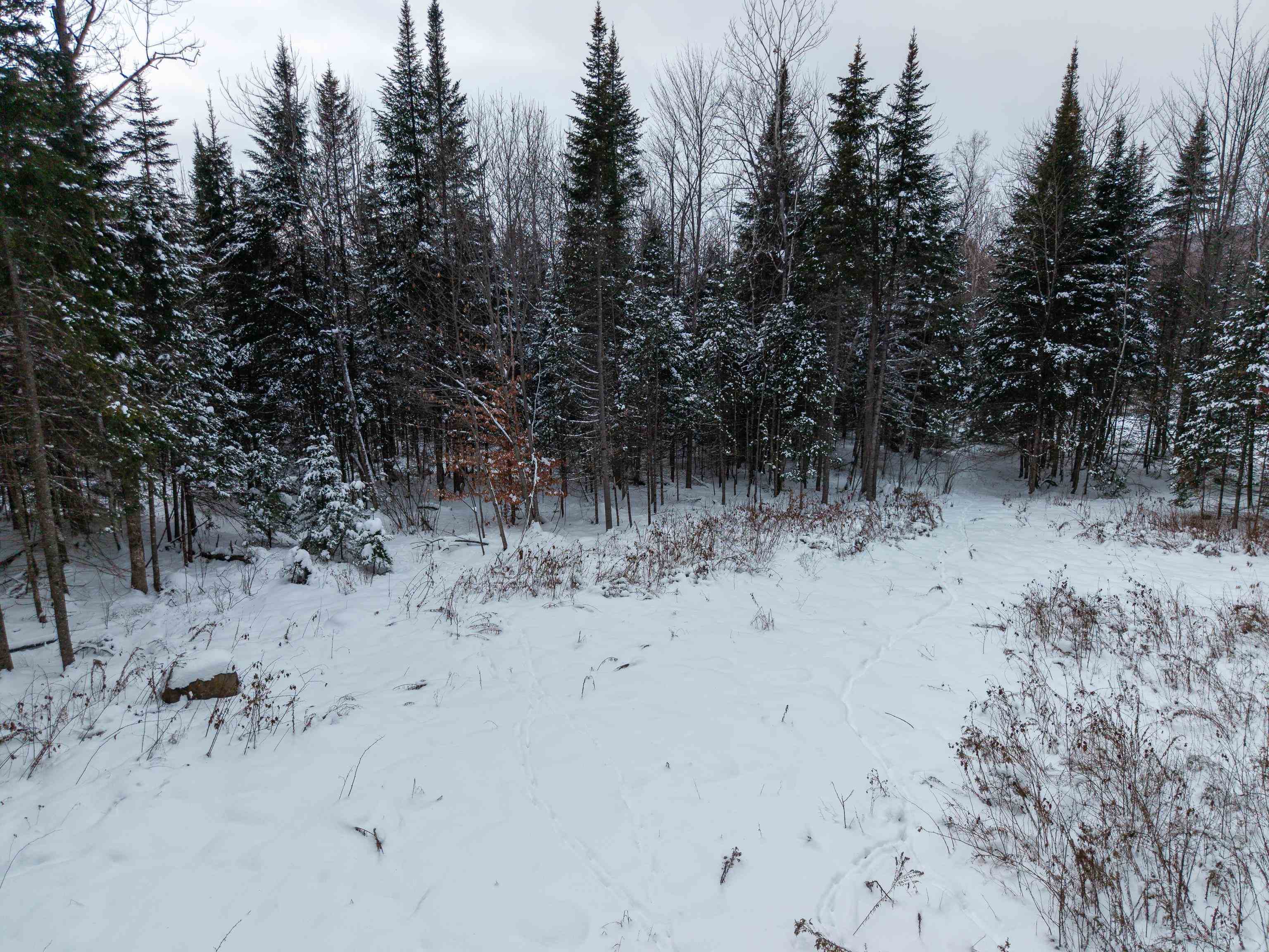 Homes for sale in Littleton, NH | 40 Bear Paw Trl, Littleton, NH 03561 | MLS# 5072369