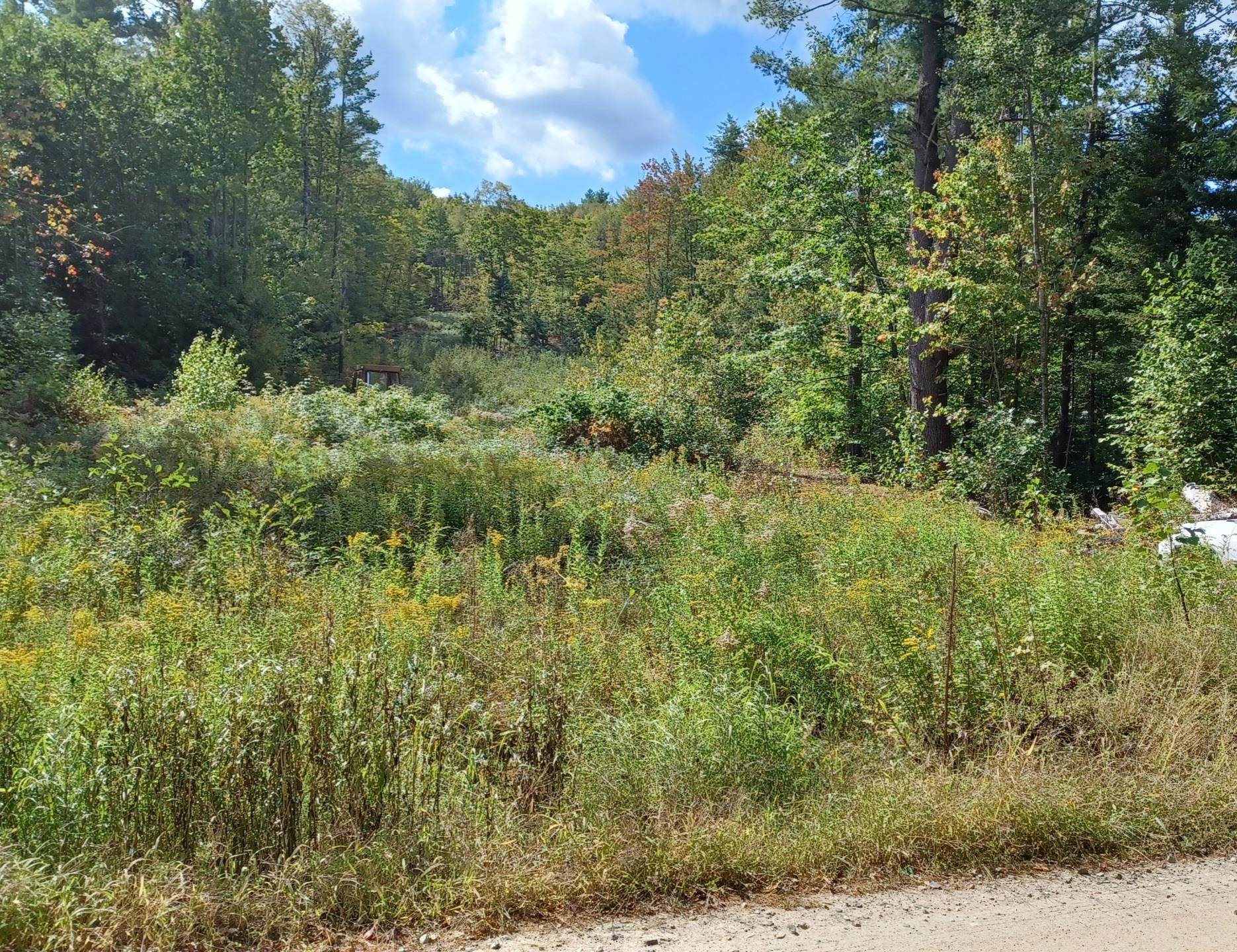 Homes for sale in Wolfeboro, NH | 8 Wakefield North Rd, Wolfeboro, NH 03894 | MLS# 5072466