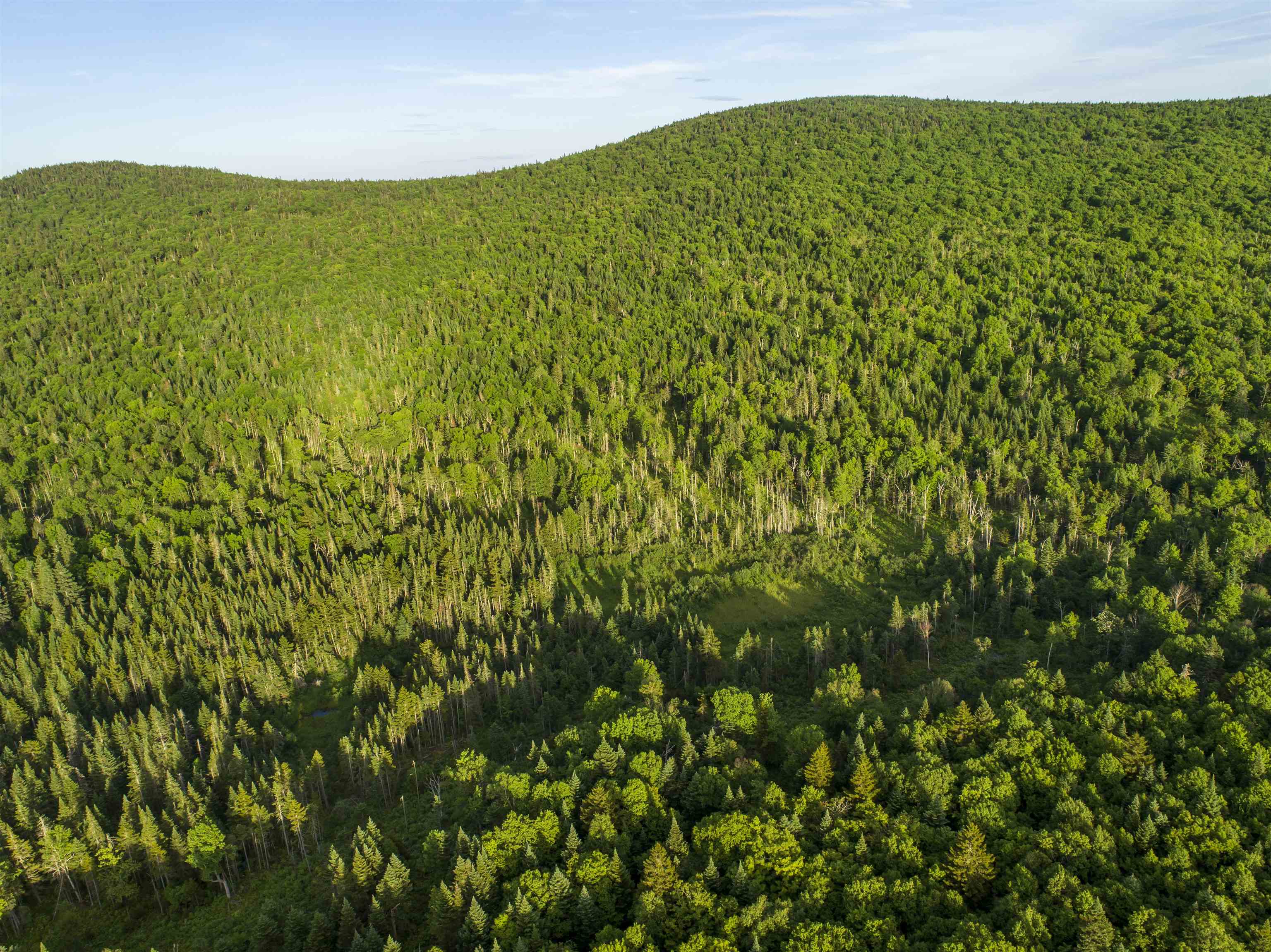 Homes for sale in Stewartstown, NH | 7 & 8 Diamond Pond Park Rd, Stewartstown, NH 03576 | MLS# 5072488