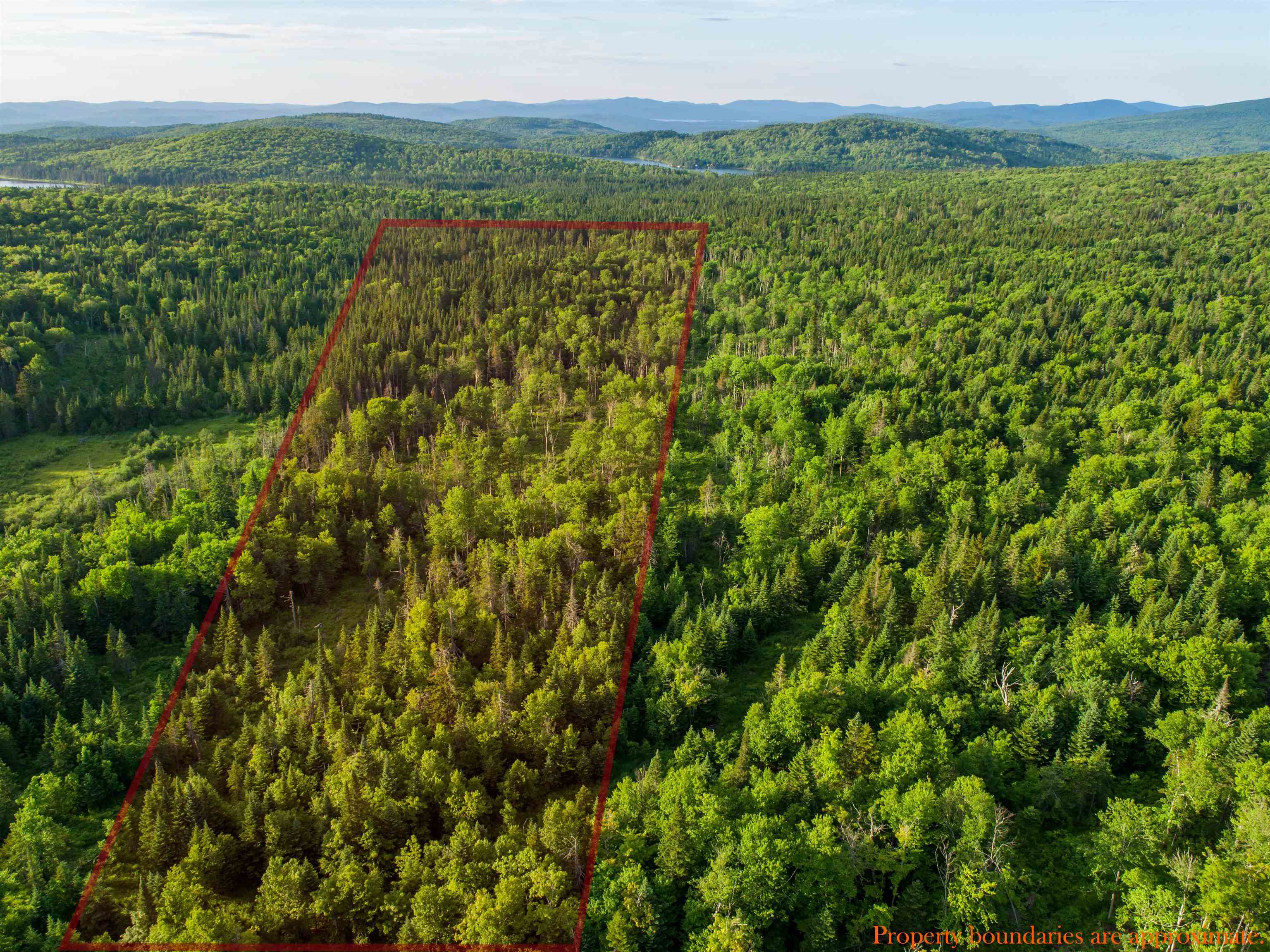 Homes for sale in Stewartstown, NH | 7 & 8 Diamond Pond Park Rd, Stewartstown, NH 03576 | MLS# 5072488
