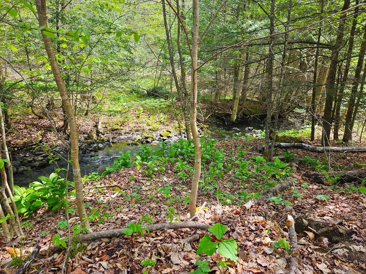 Homes for sale in Berkshire, VT | 1367 Berry Rd, Berkshire, VT 05450 | MLS# 5072520