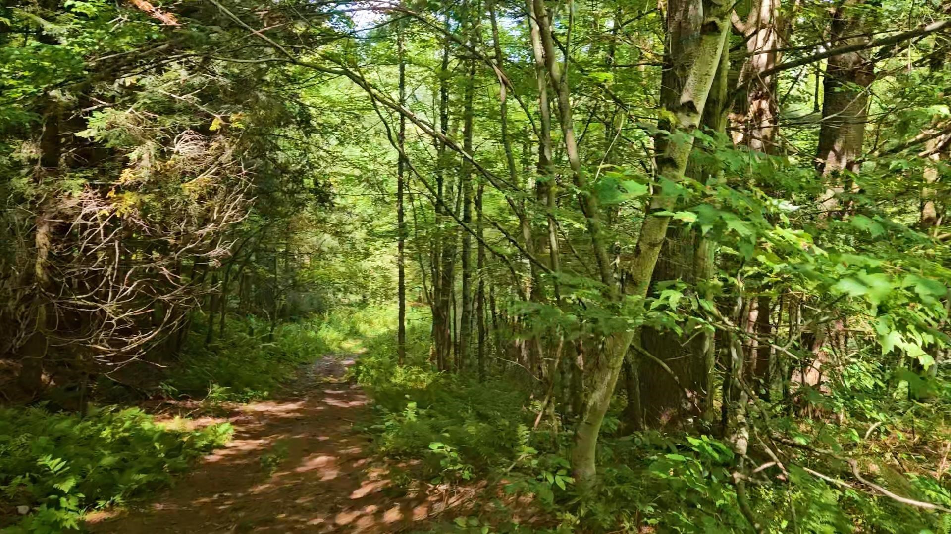 Homes for sale in Berkshire, VT | 1367 Berry Rd, Berkshire, VT 05450 | MLS# 5072520