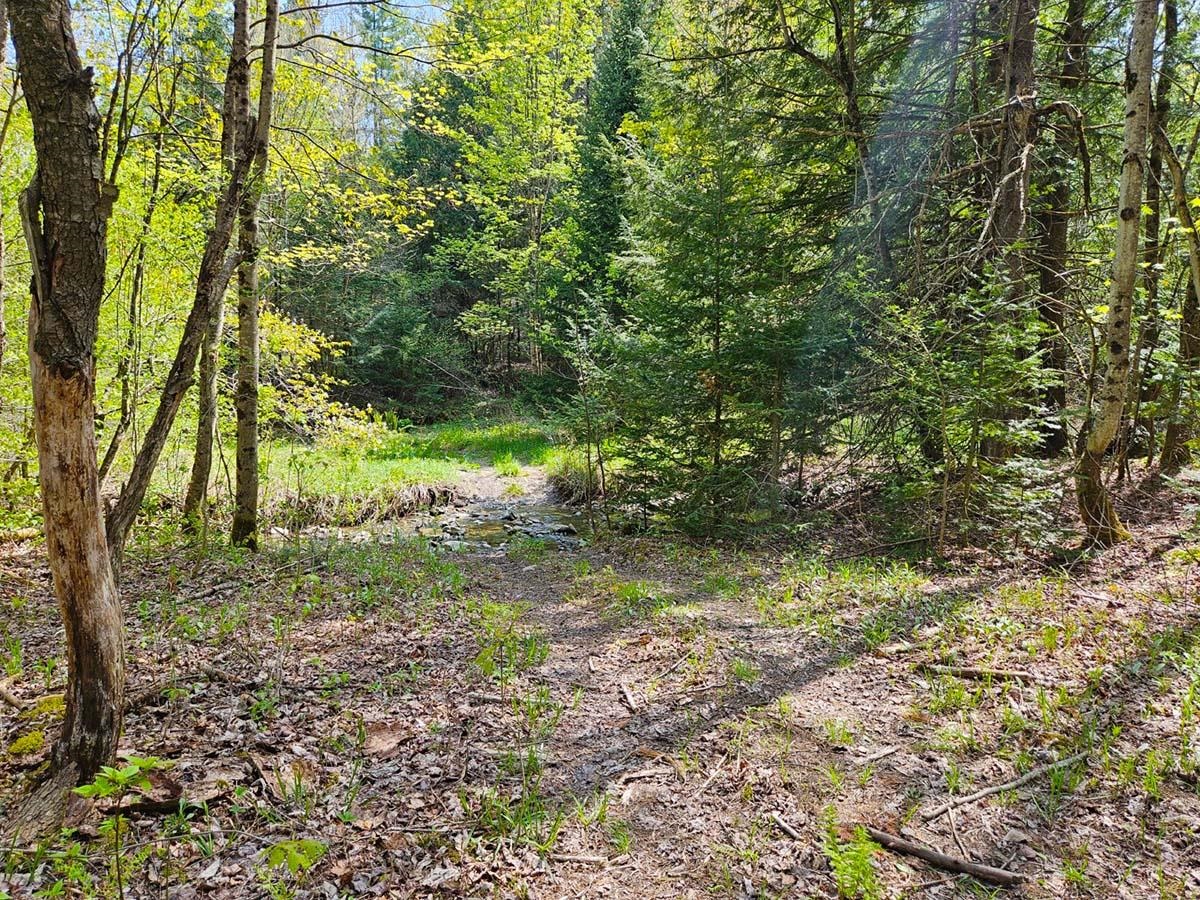 Homes for sale in Berkshire, VT | 1367 Berry Rd, Berkshire, VT 05450 | MLS# 5072520