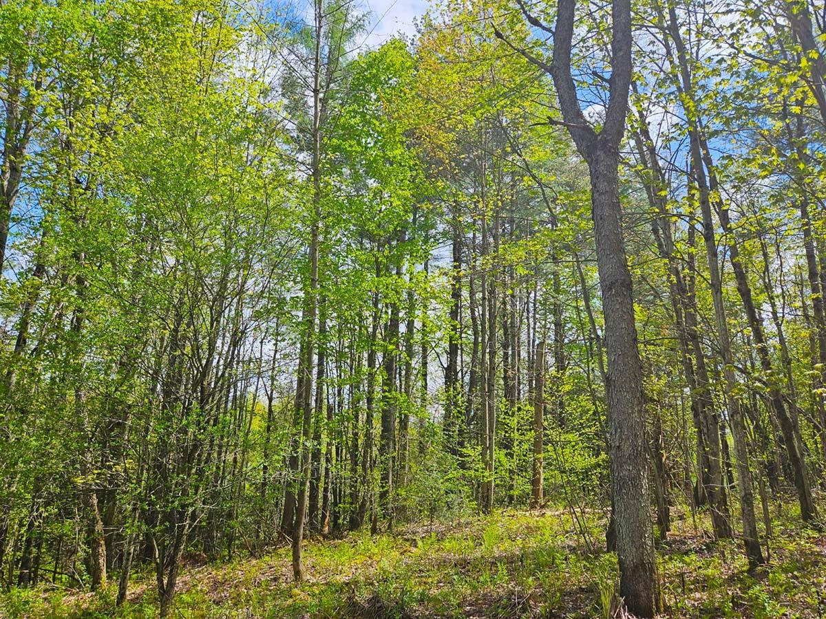 Homes for sale in Berkshire, VT | 1367 Berry Rd, Berkshire, VT 05450 | MLS# 5072520