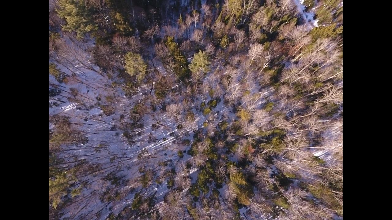 Homes for sale in Waterford, VT | 0 Waterford Hollow Ln, Waterford, VT 05819 | MLS# 5072533