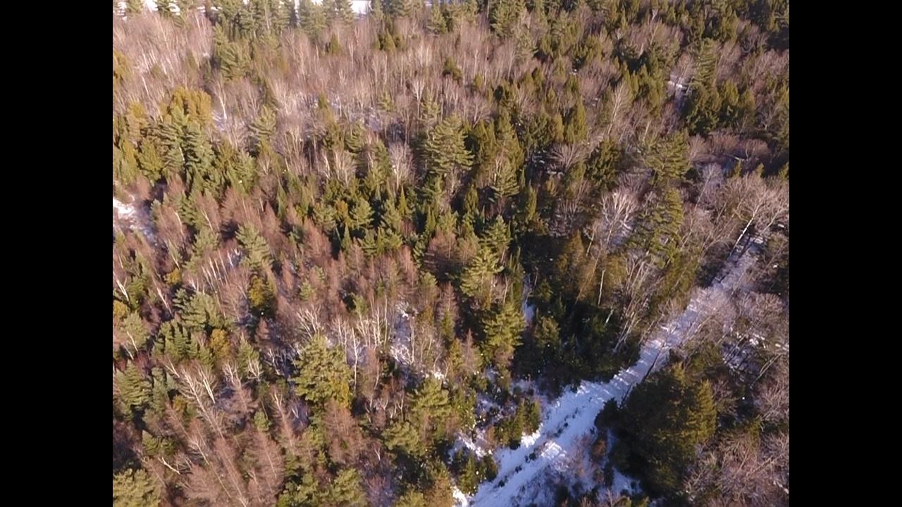 Homes for sale in Waterford, VT | 0 Waterford Hollow Ln, Waterford, VT 05819 | MLS# 5072533