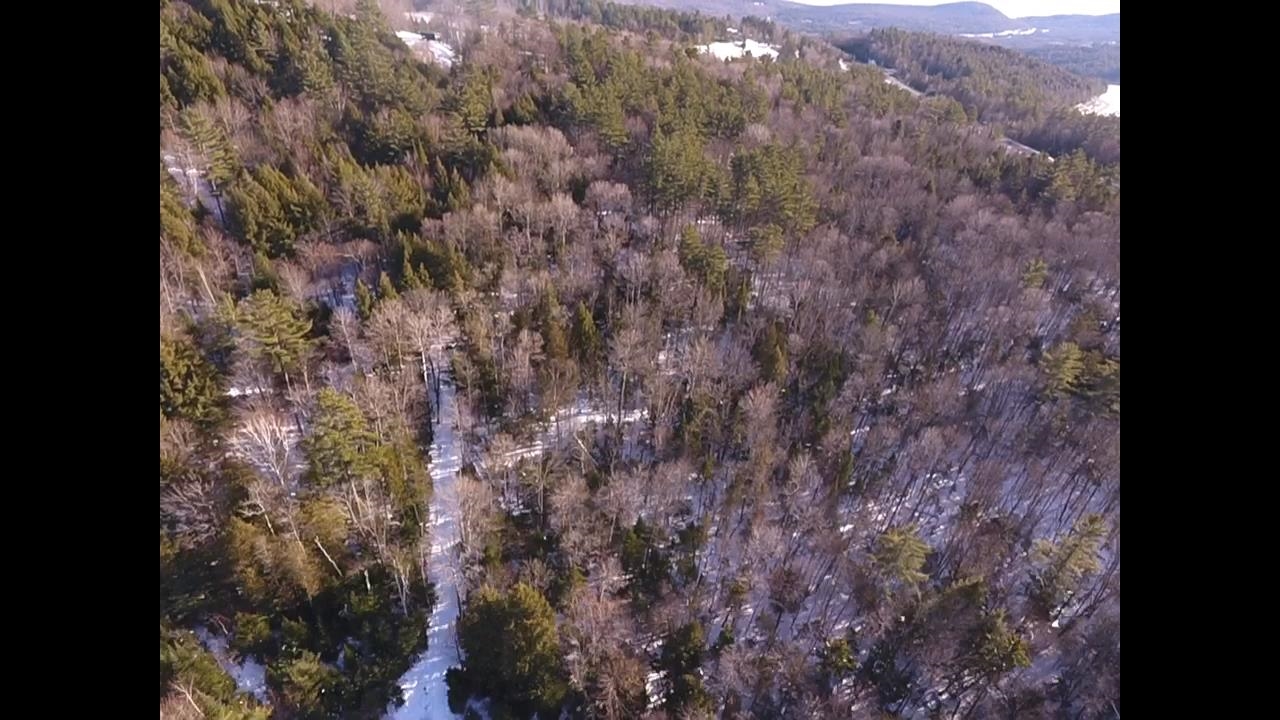 Homes for sale in Waterford, VT | 0 Waterford Hollow Ln, Waterford, VT 05819 | MLS# 5072533