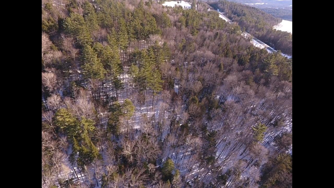 Homes for sale in Waterford, VT | 0 Waterford Hollow Ln, Waterford, VT 05819 | MLS# 5072533