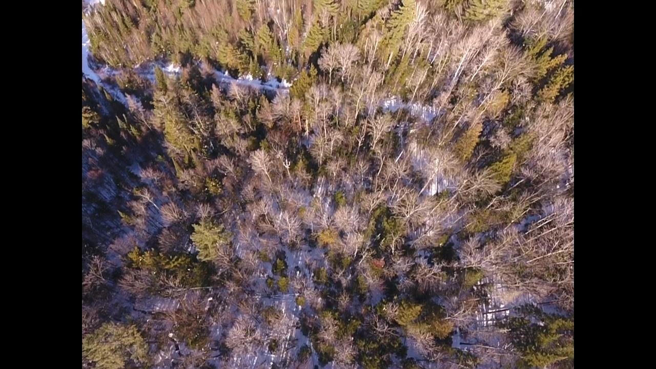 Homes for sale in Waterford, VT | 0 Waterford Hollow Ln, Waterford, VT 05819 | MLS# 5072533