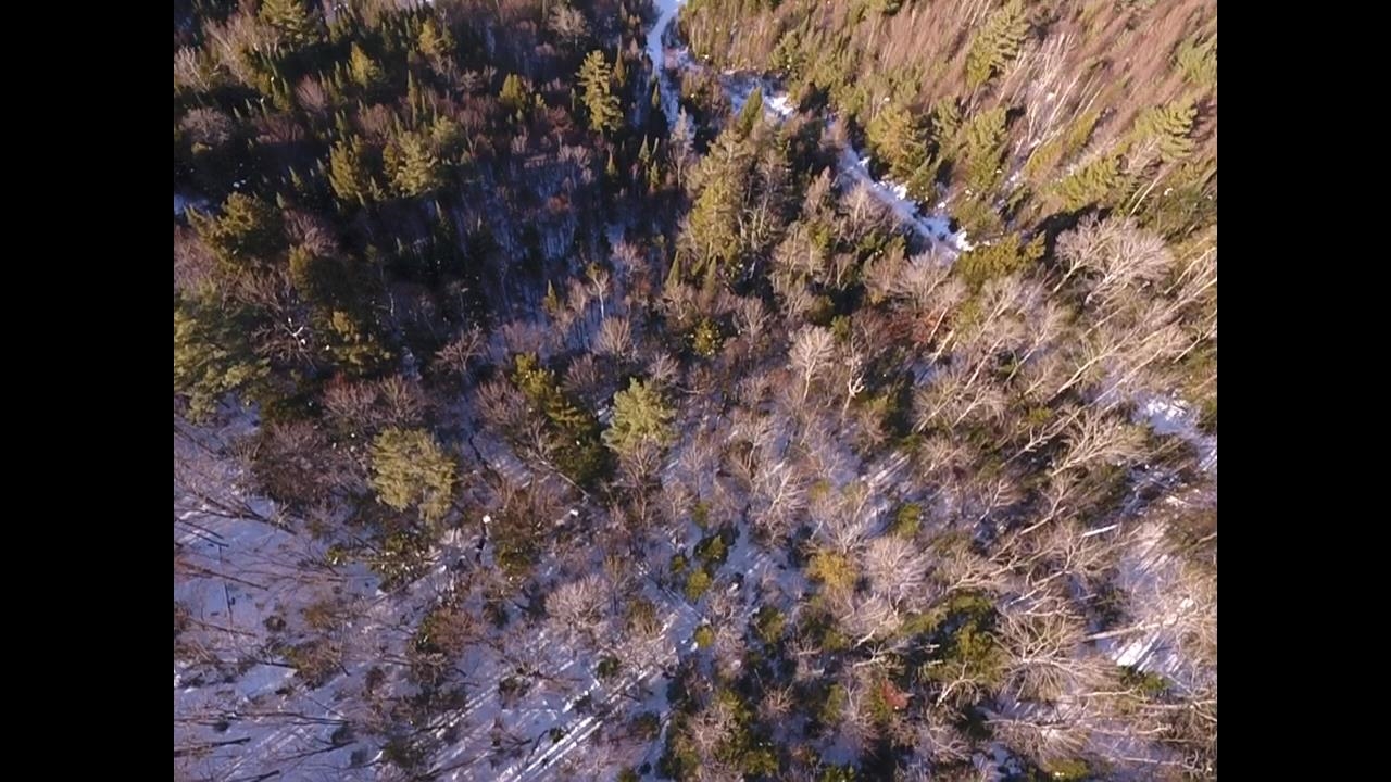 Homes for sale in Waterford, VT | 0 Waterford Hollow Ln, Waterford, VT 05819 | MLS# 5072533