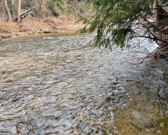 Homes for sale in Londonderry, VT | 192 Pingree Park Ln, Londonderry, VT 05148 | MLS# 5072628