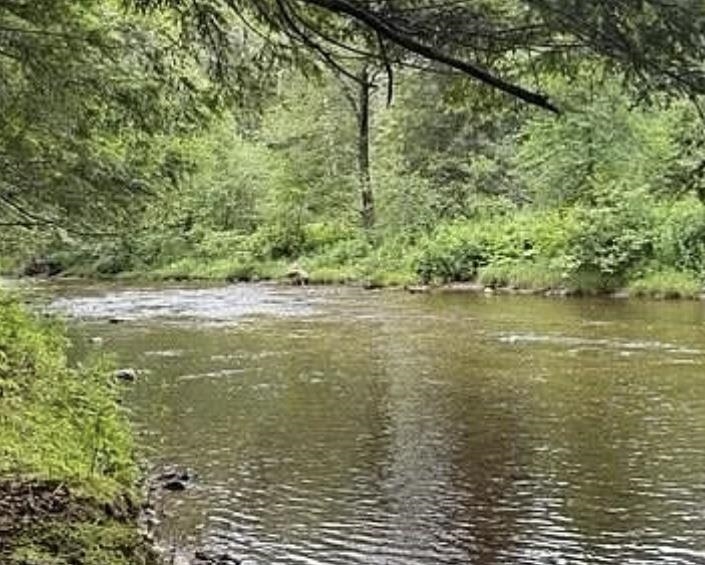 Homes for sale in Londonderry, VT | 192 Pingree Park Ln, Londonderry, VT 05148 | MLS# 5072628