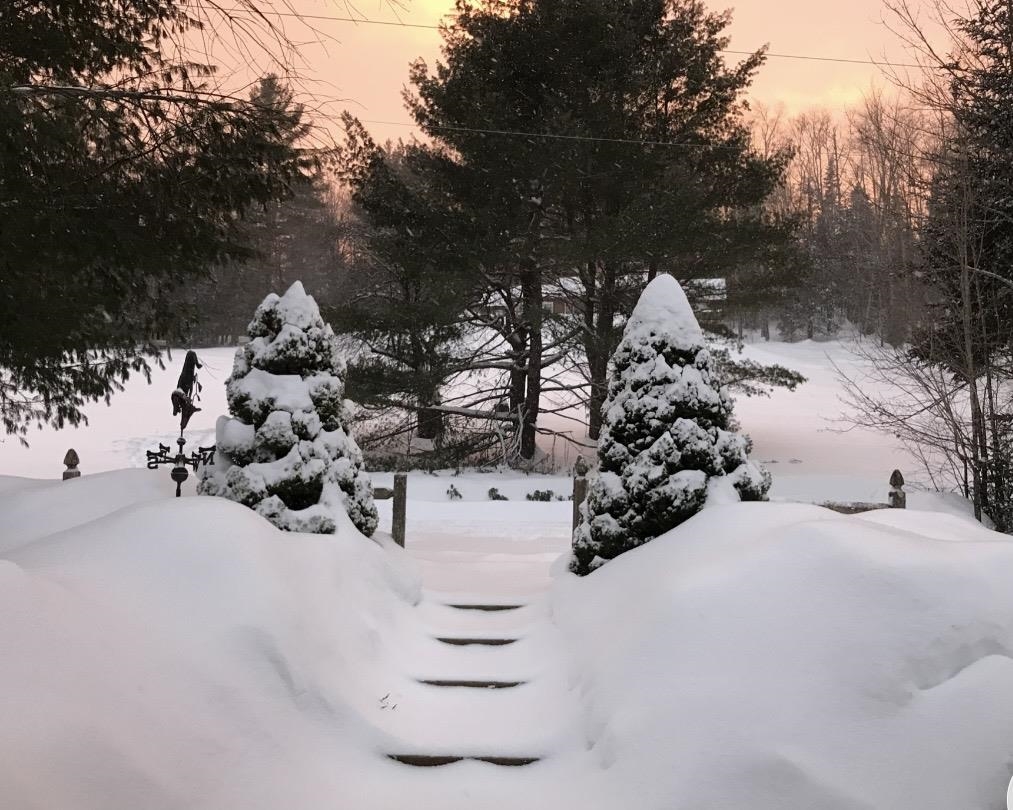 Homes for sale in Londonderry, VT | 192 Pingree Park Ln, Londonderry, VT 05148 | MLS# 5072628