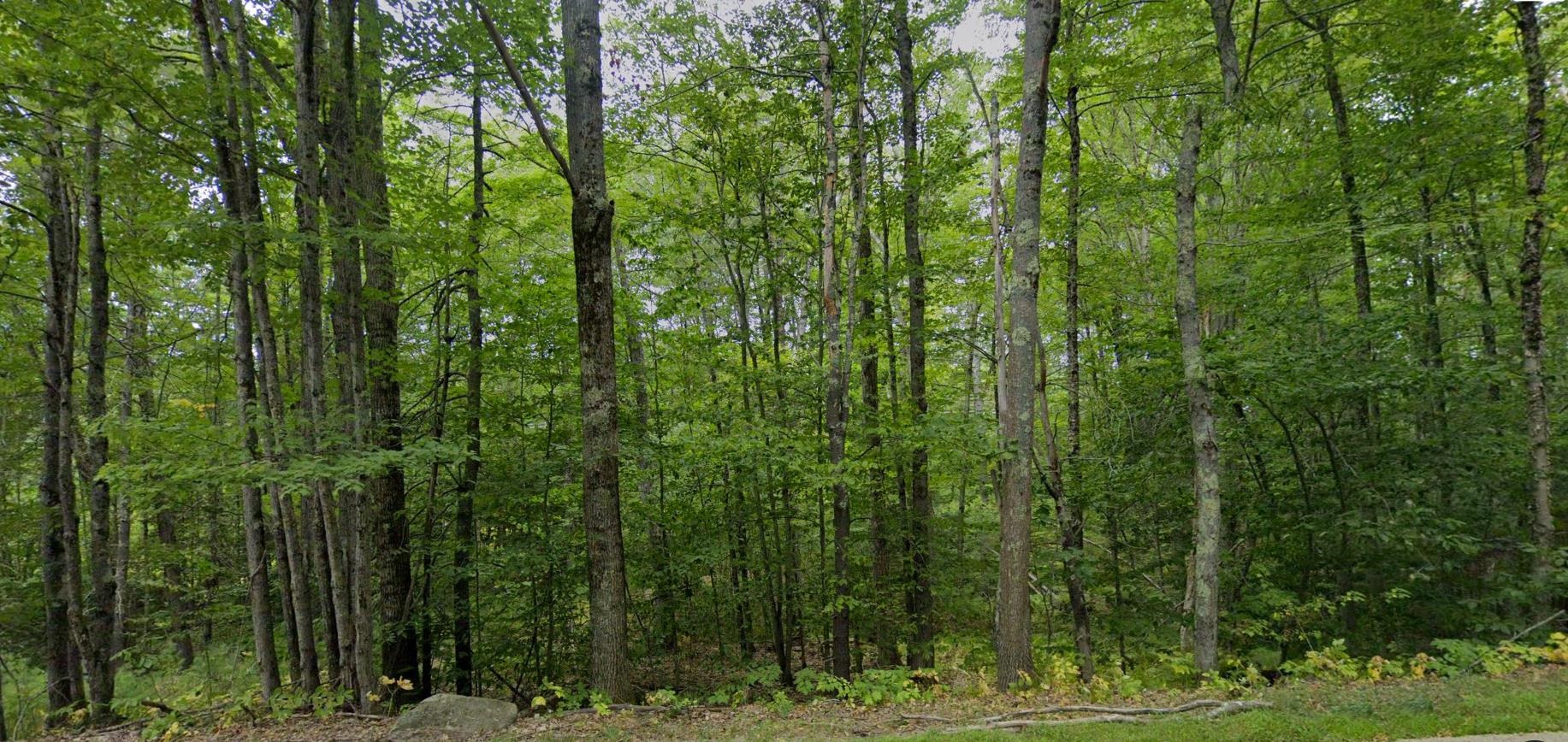 MLS #5072643 image #4