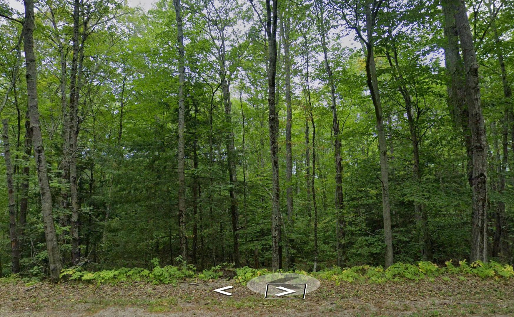 MLS #5072643 image #7