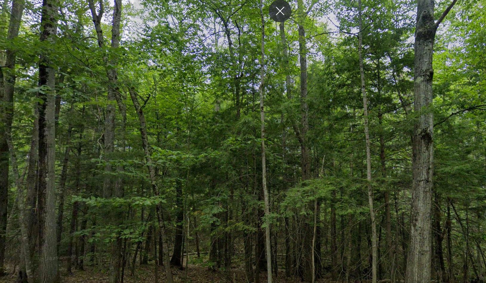 MLS #5072643 image #8