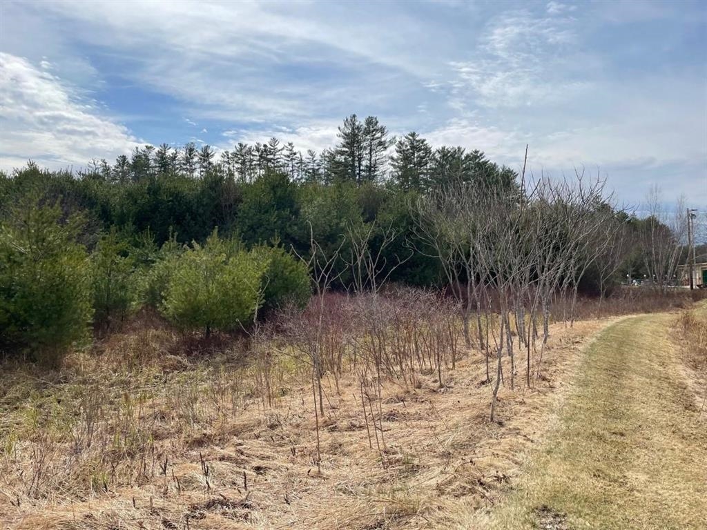 MLS #5072664 image #8