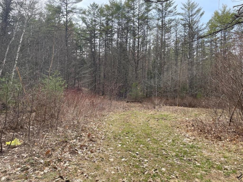 MLS #5072674 image #7